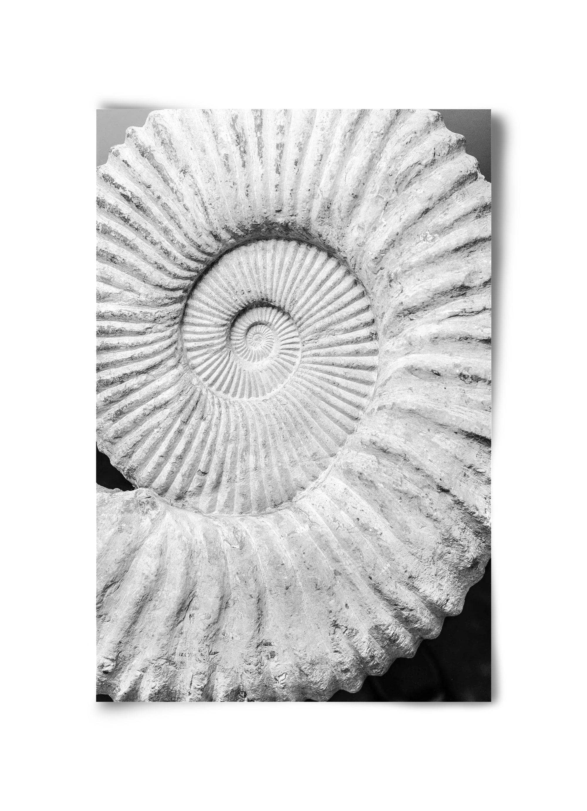 Formula - artbridge