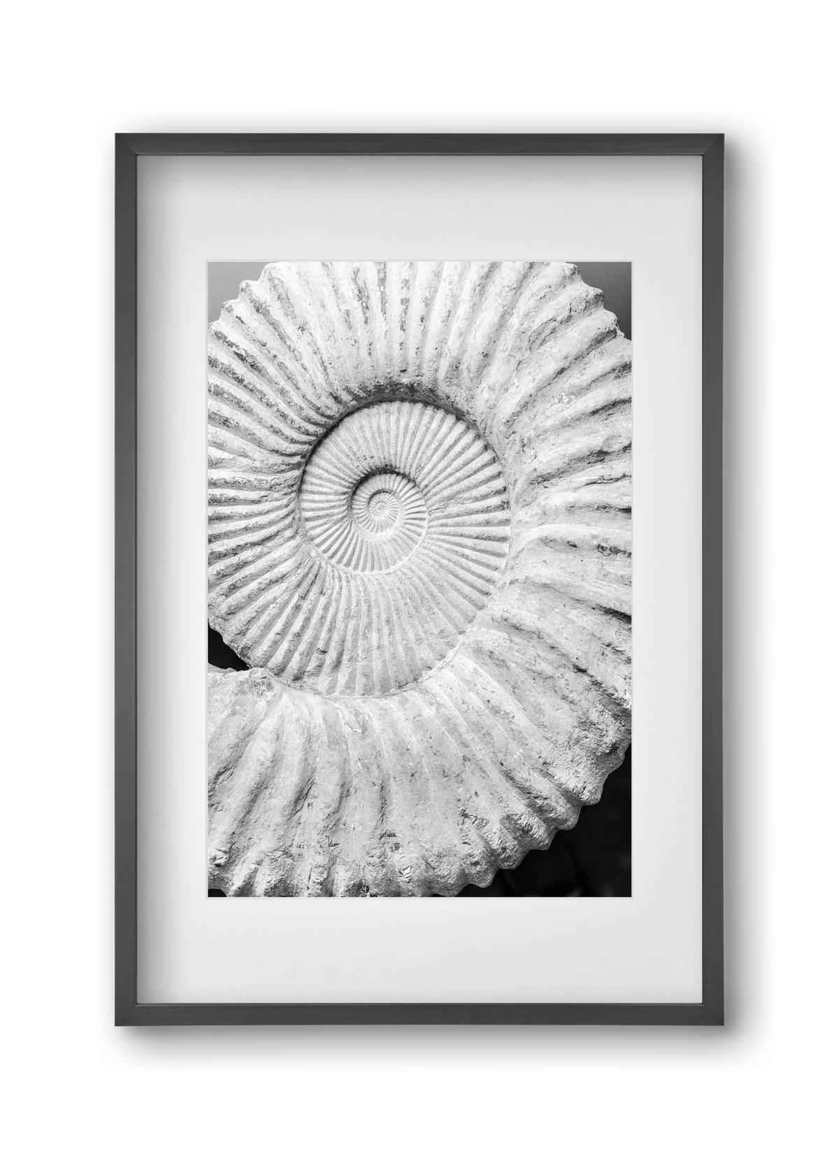 Formula - artbridge