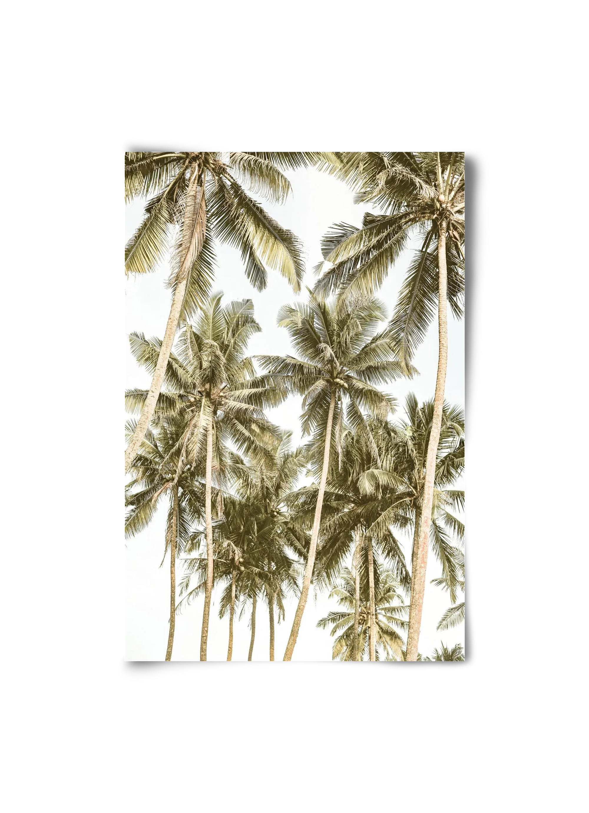 Island bliss - artbridge