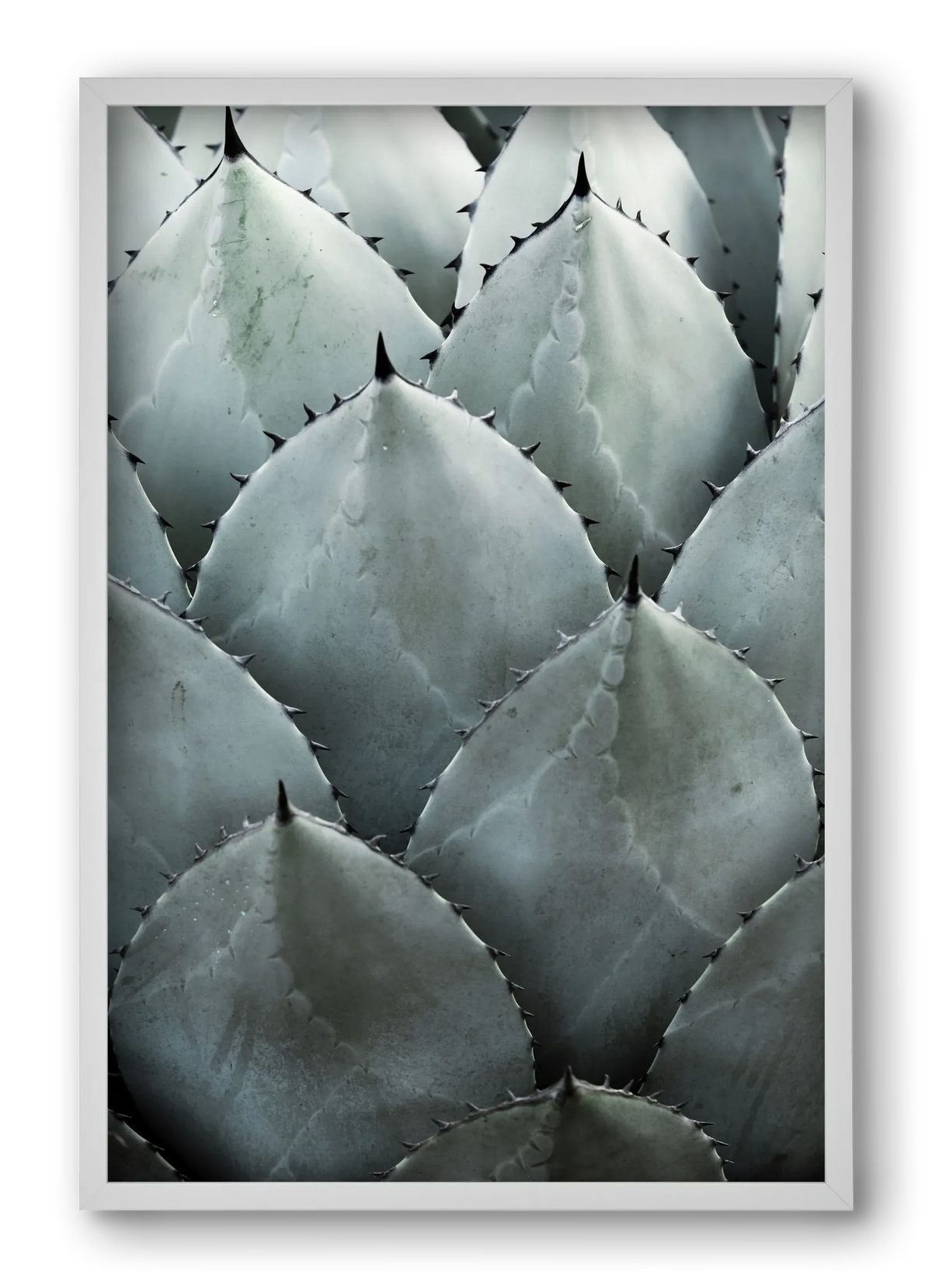 My mint moment - artbridge