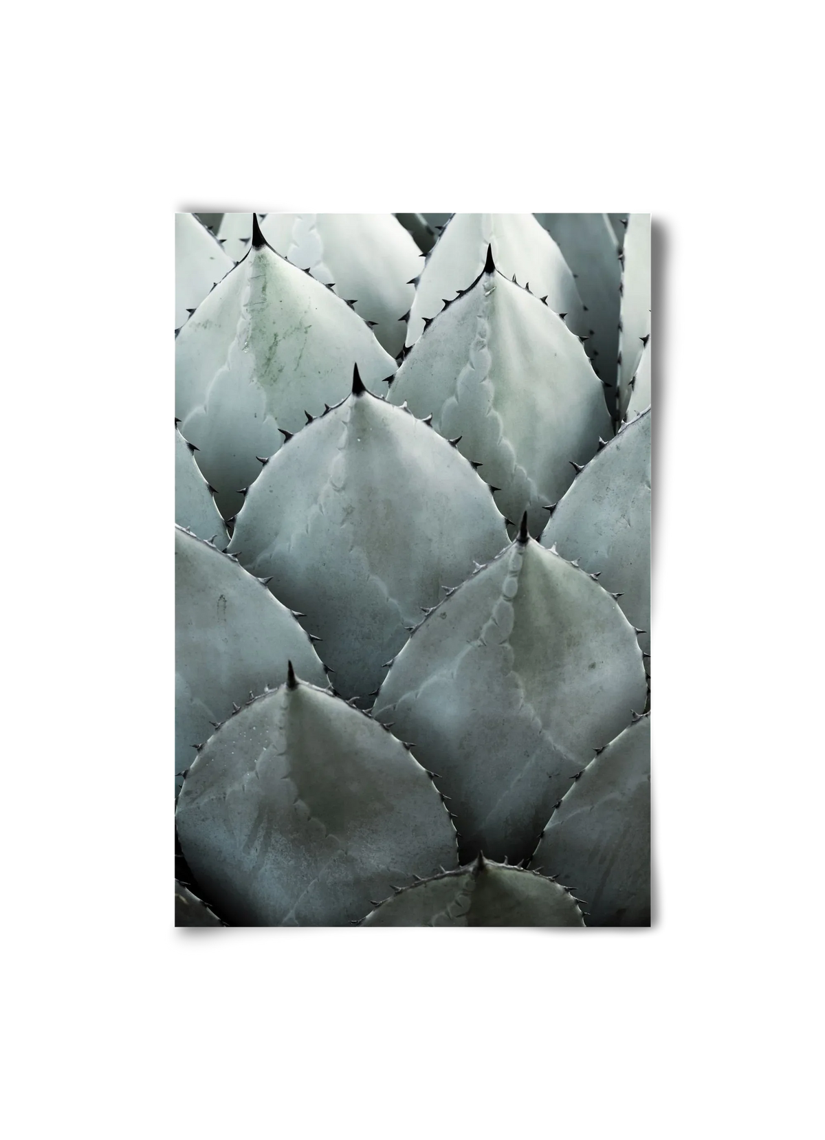My mint moment - artbridge