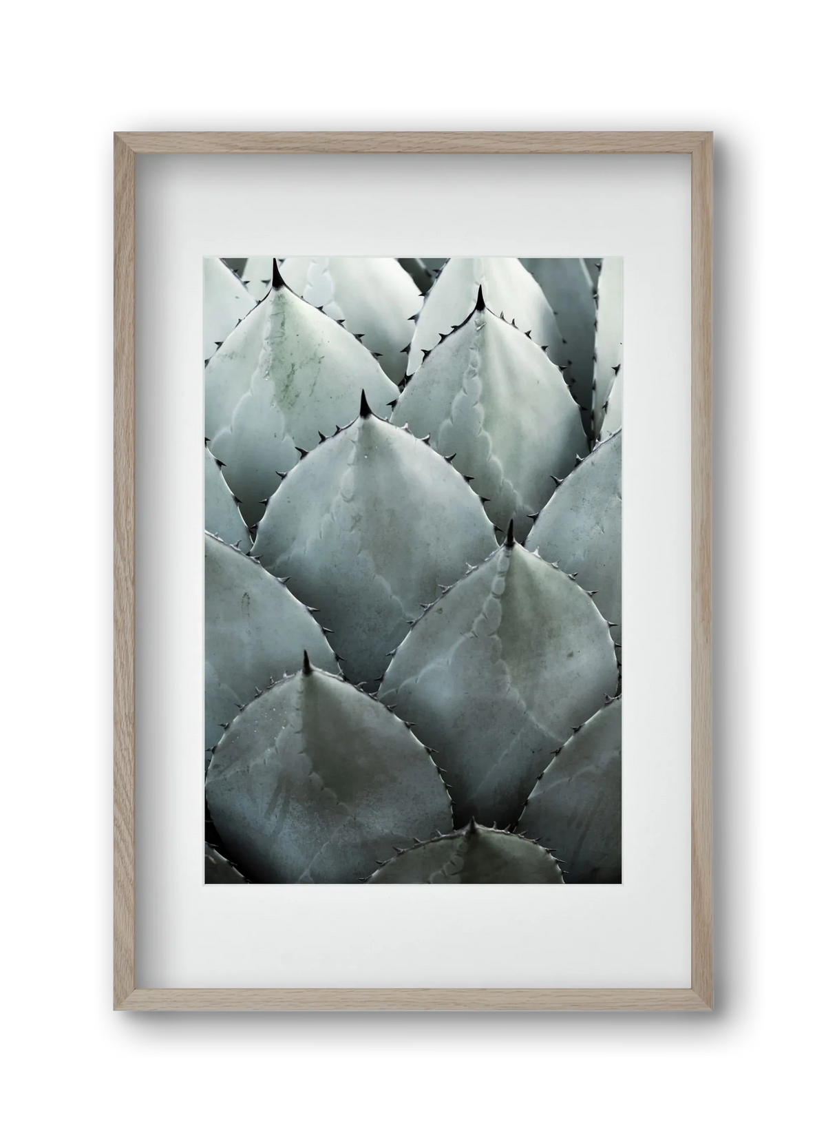 My mint moment - artbridge