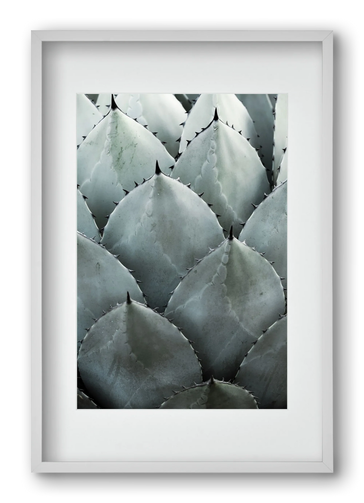 My mint moment - artbridge