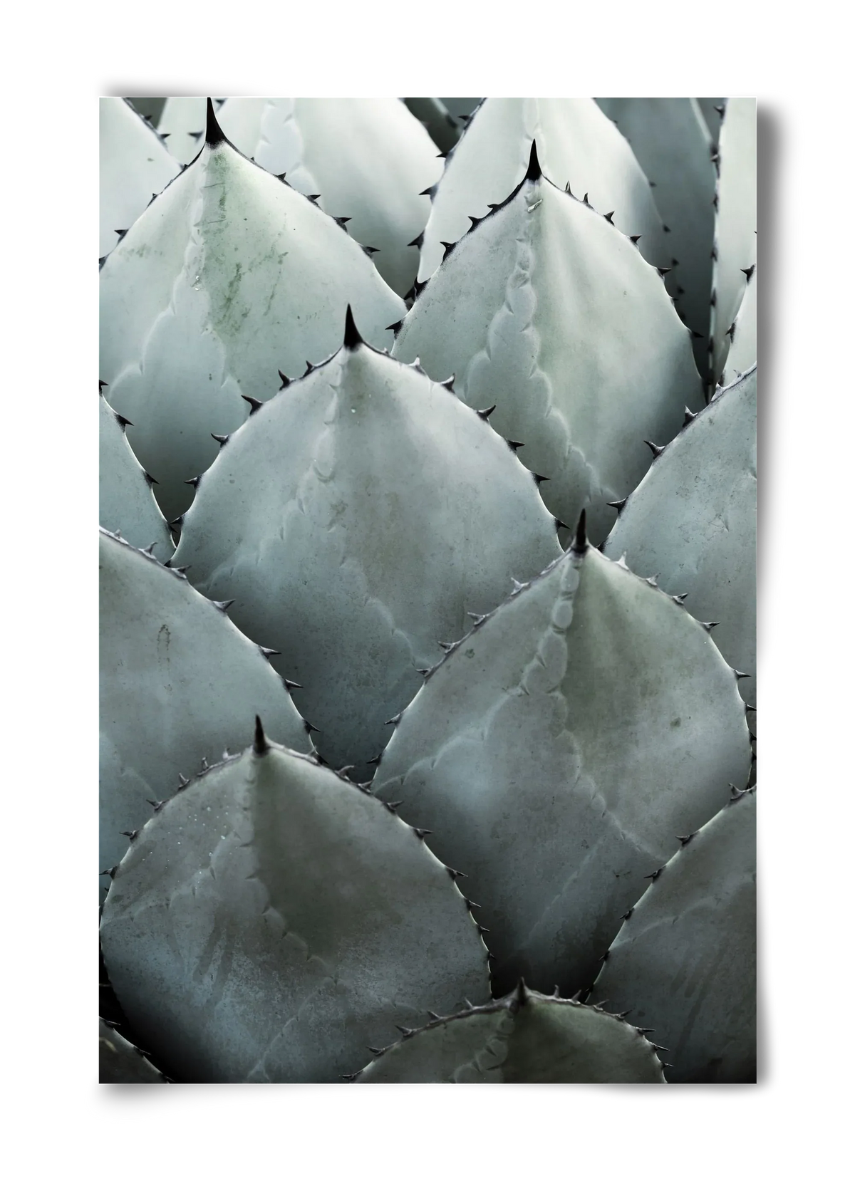 My mint moment - artbridge