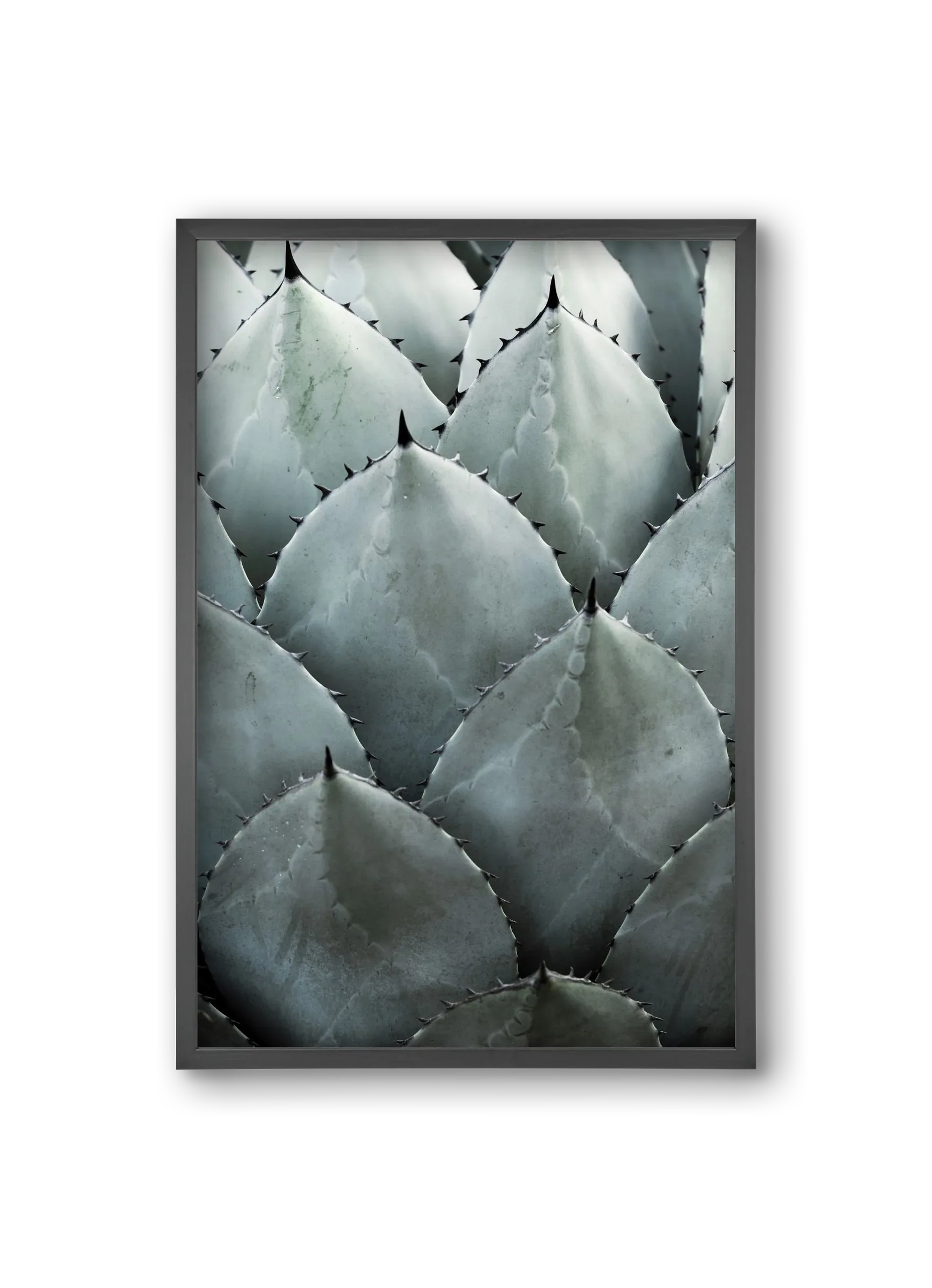 My mint moment - artbridge