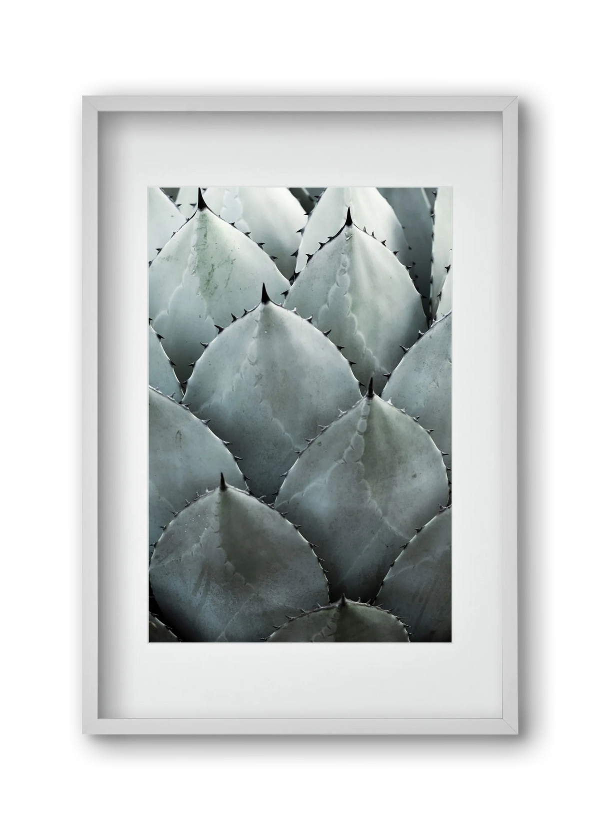 My mint moment - artbridge