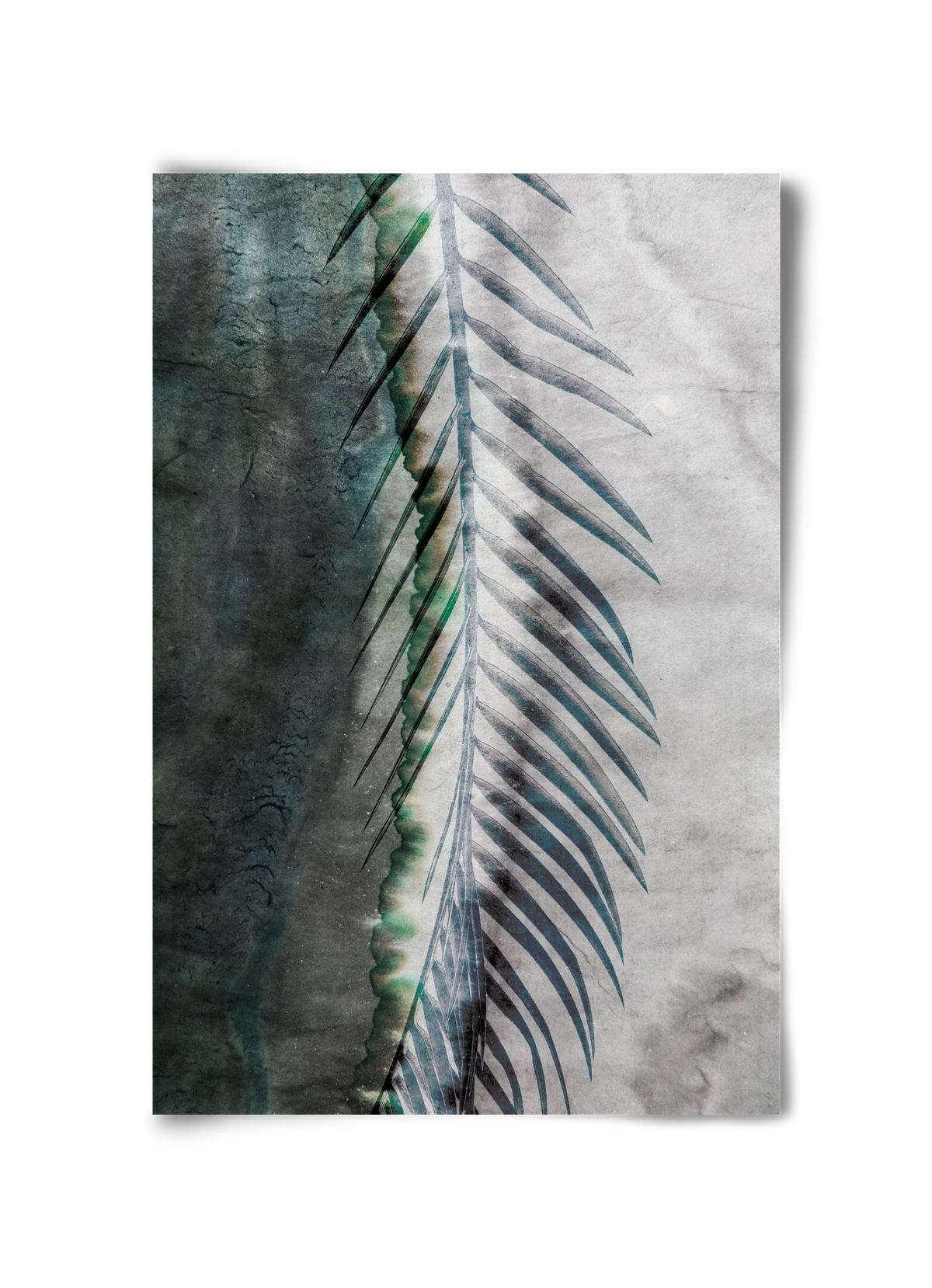 Natural selection - artbridge