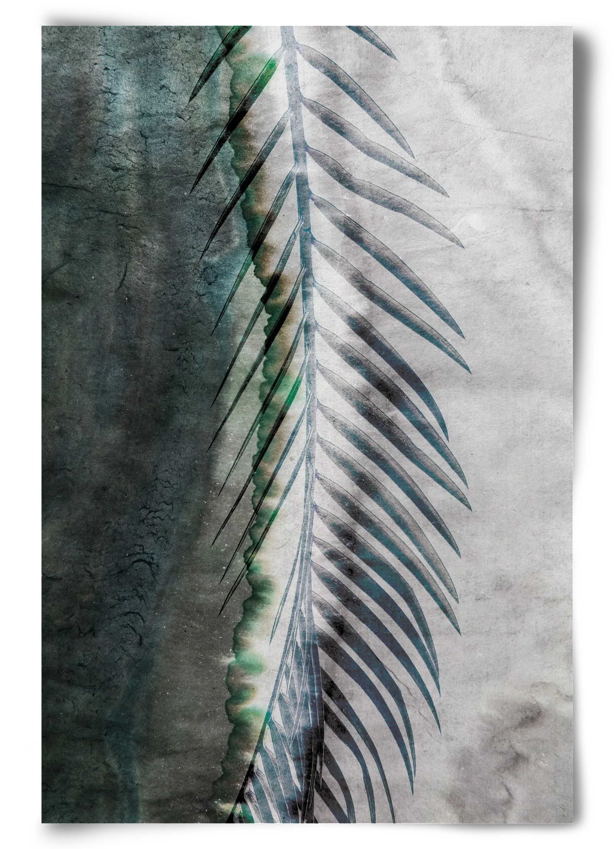 Natural selection - artbridge