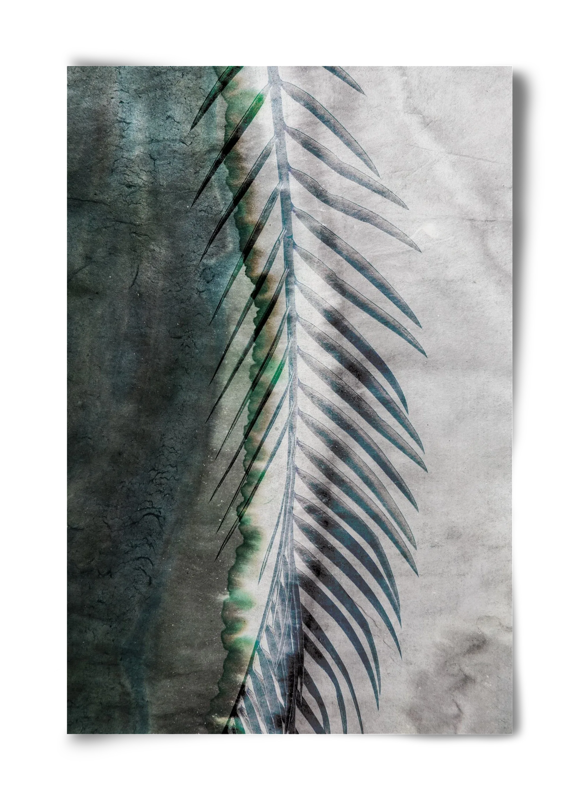 Natural selection - artbridge