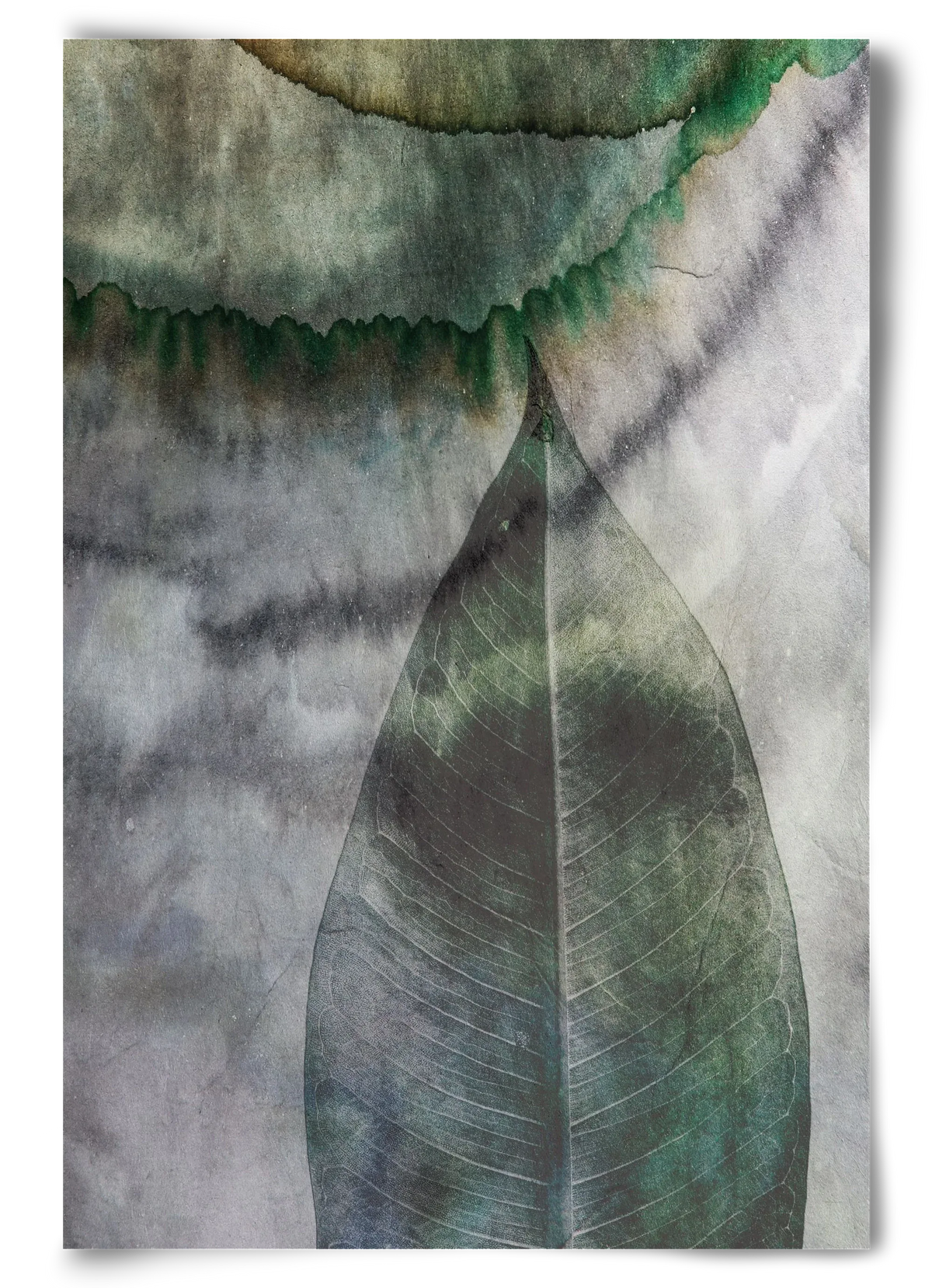 Natural selection II. - artbridge