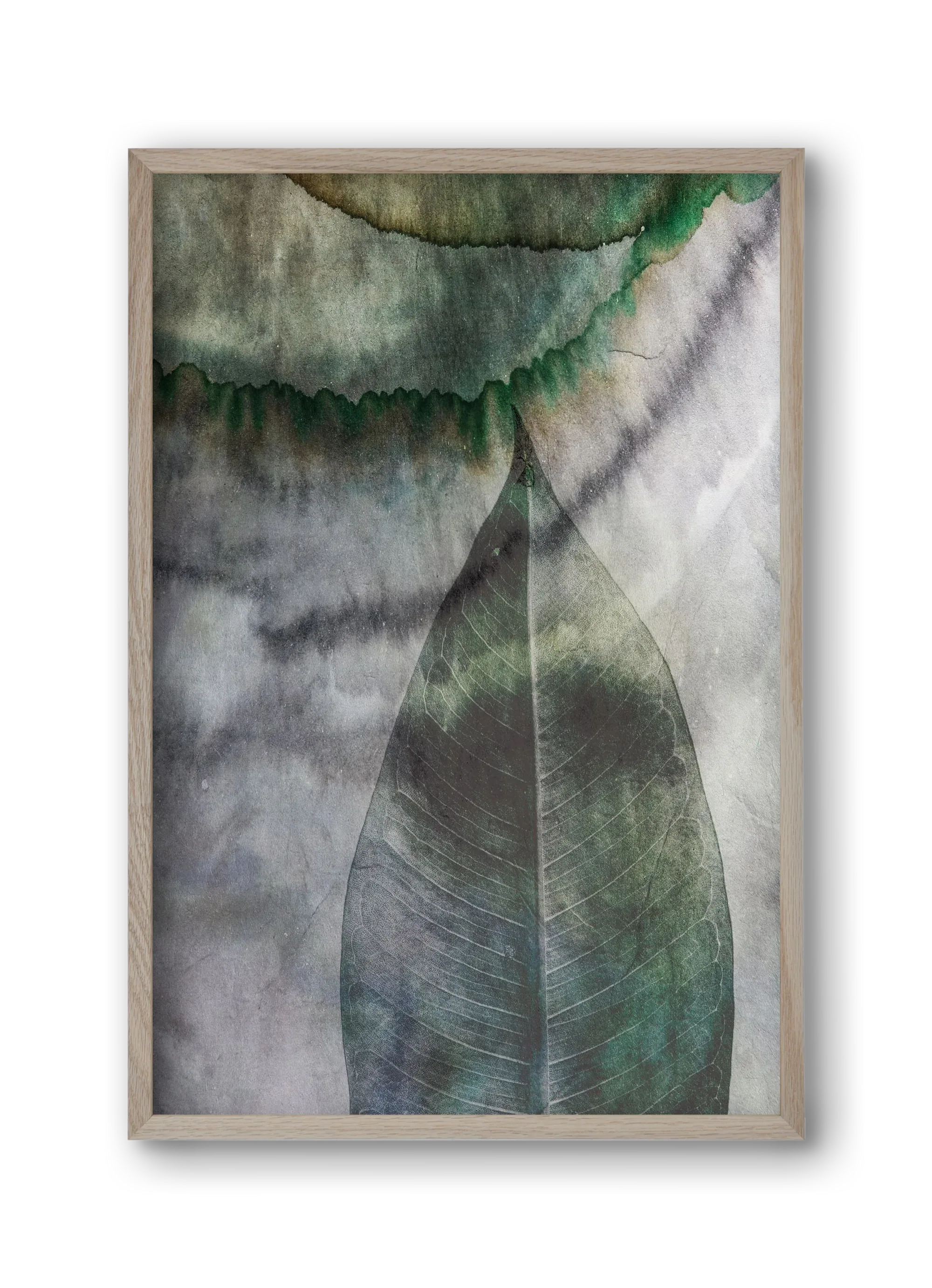 Natural selection II. - artbridge