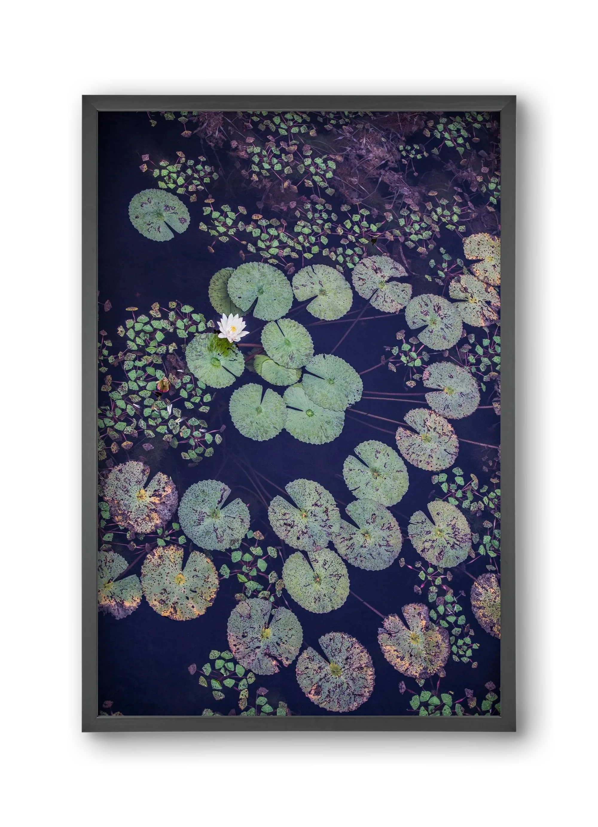 Okovango - artbridge