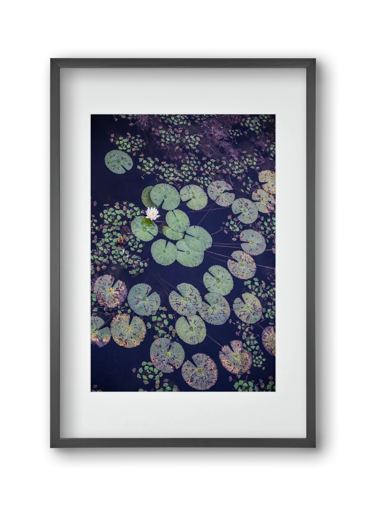 Okovango - artbridge