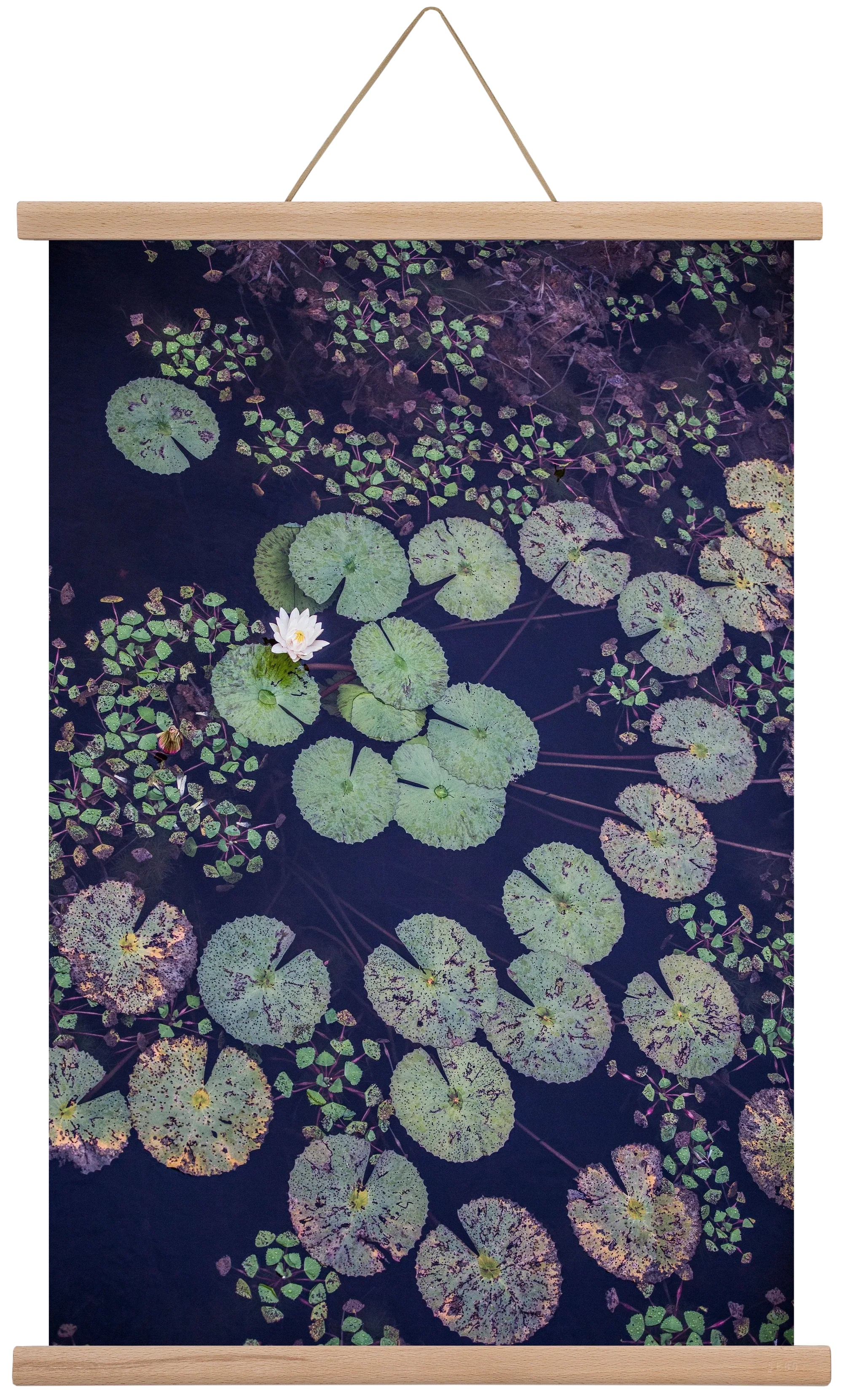Okovango - artbridge