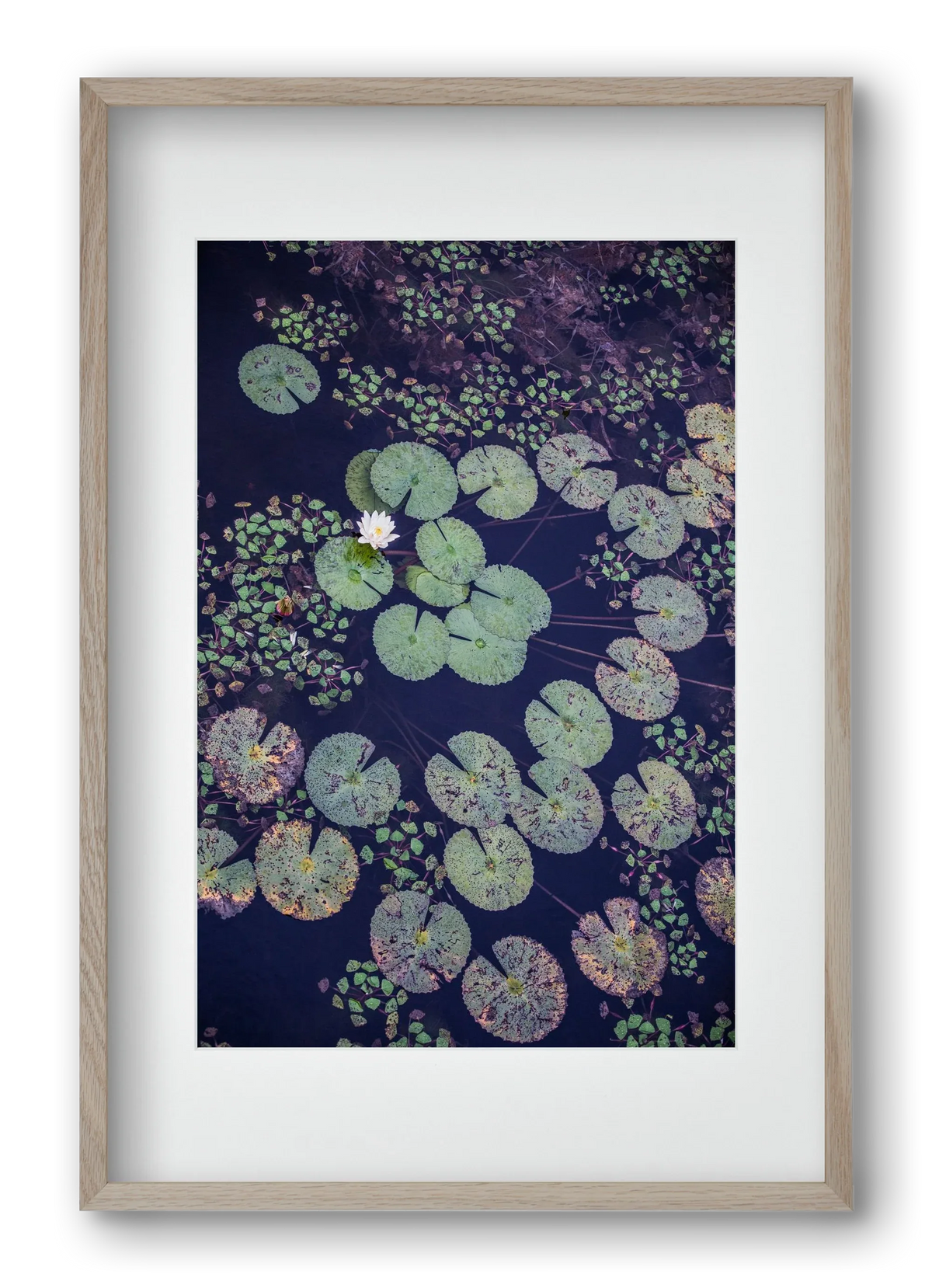 Okovango - artbridge