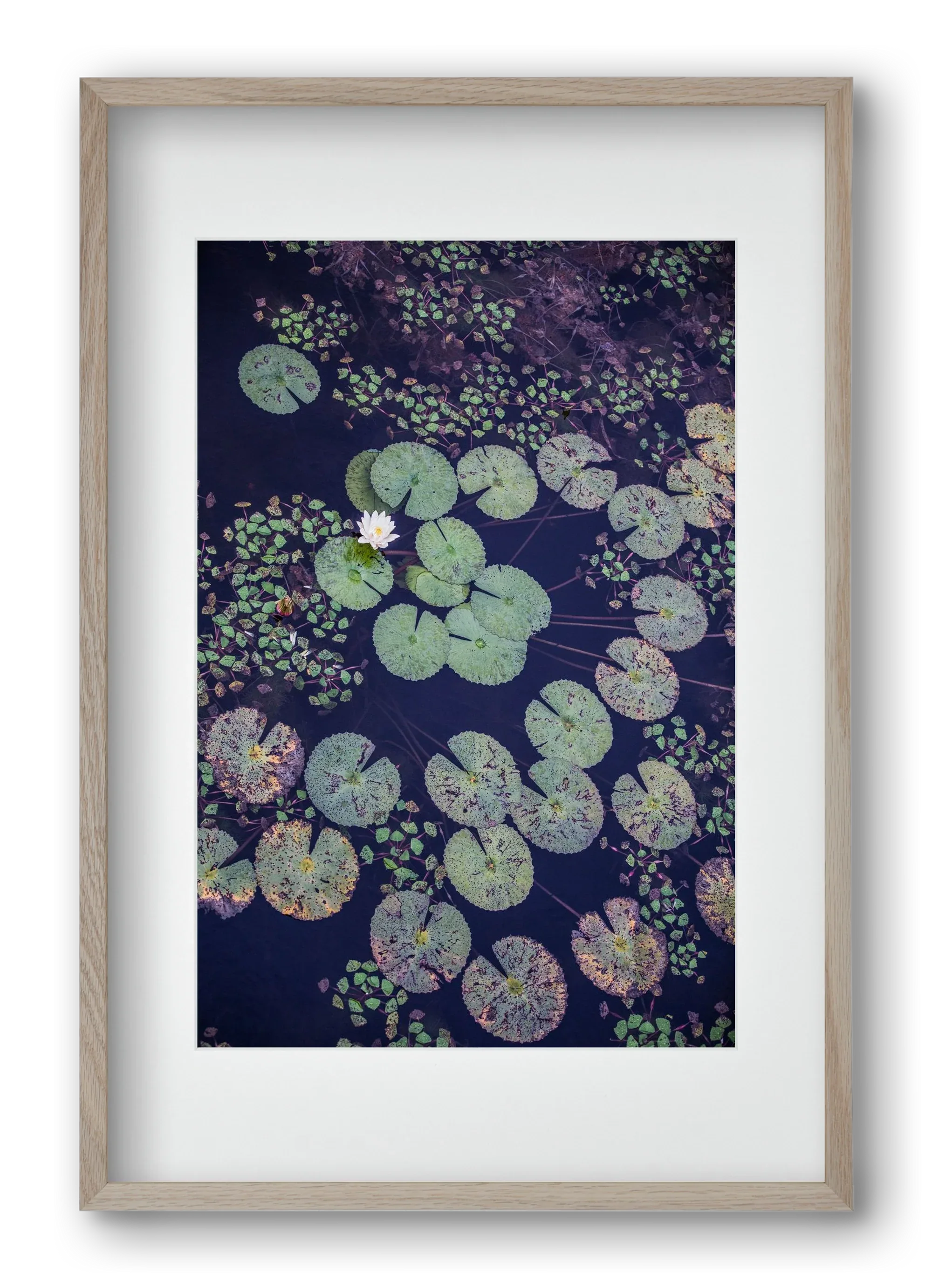 Okovango - artbridge