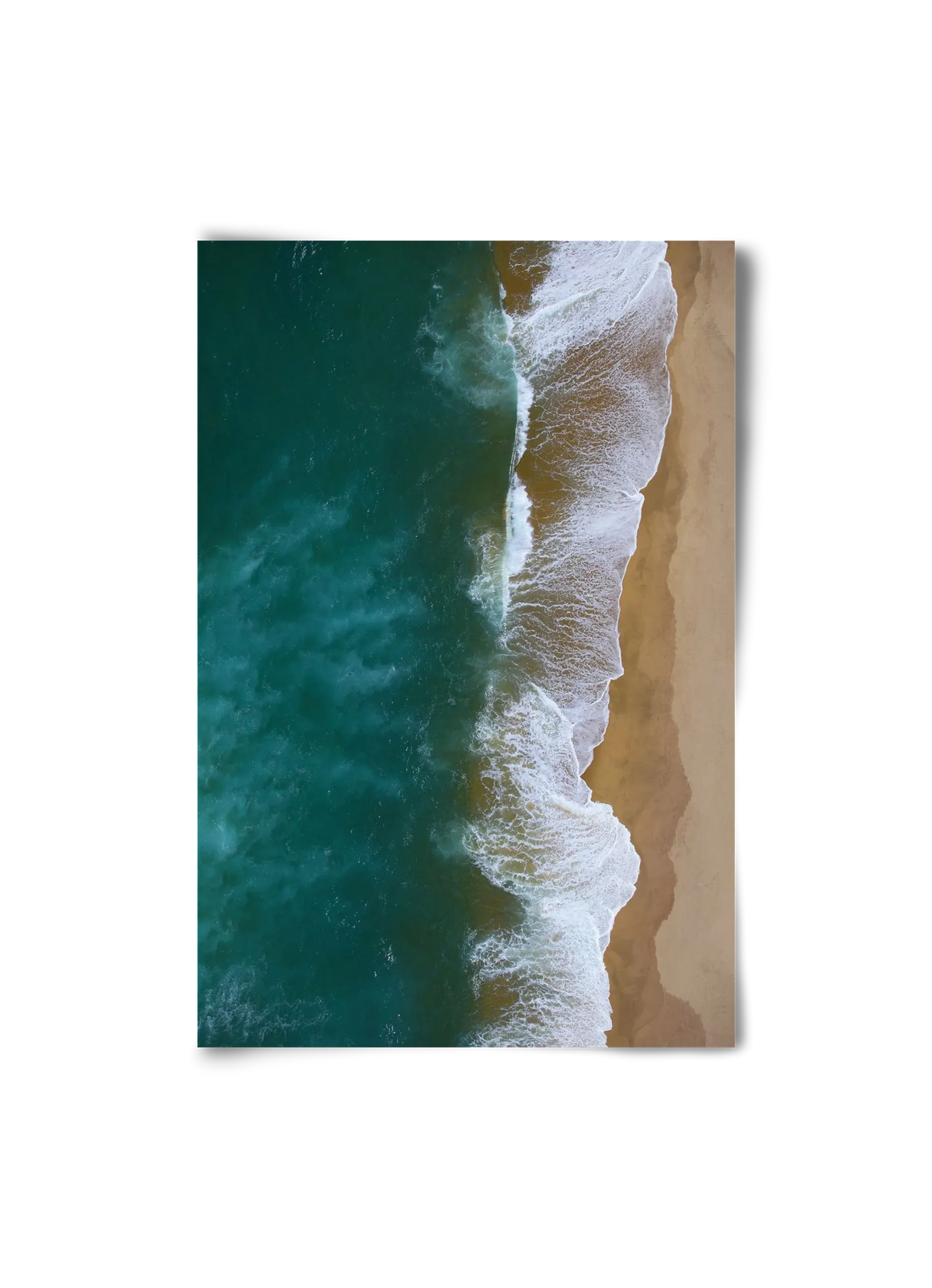 Shorelines - artbridge