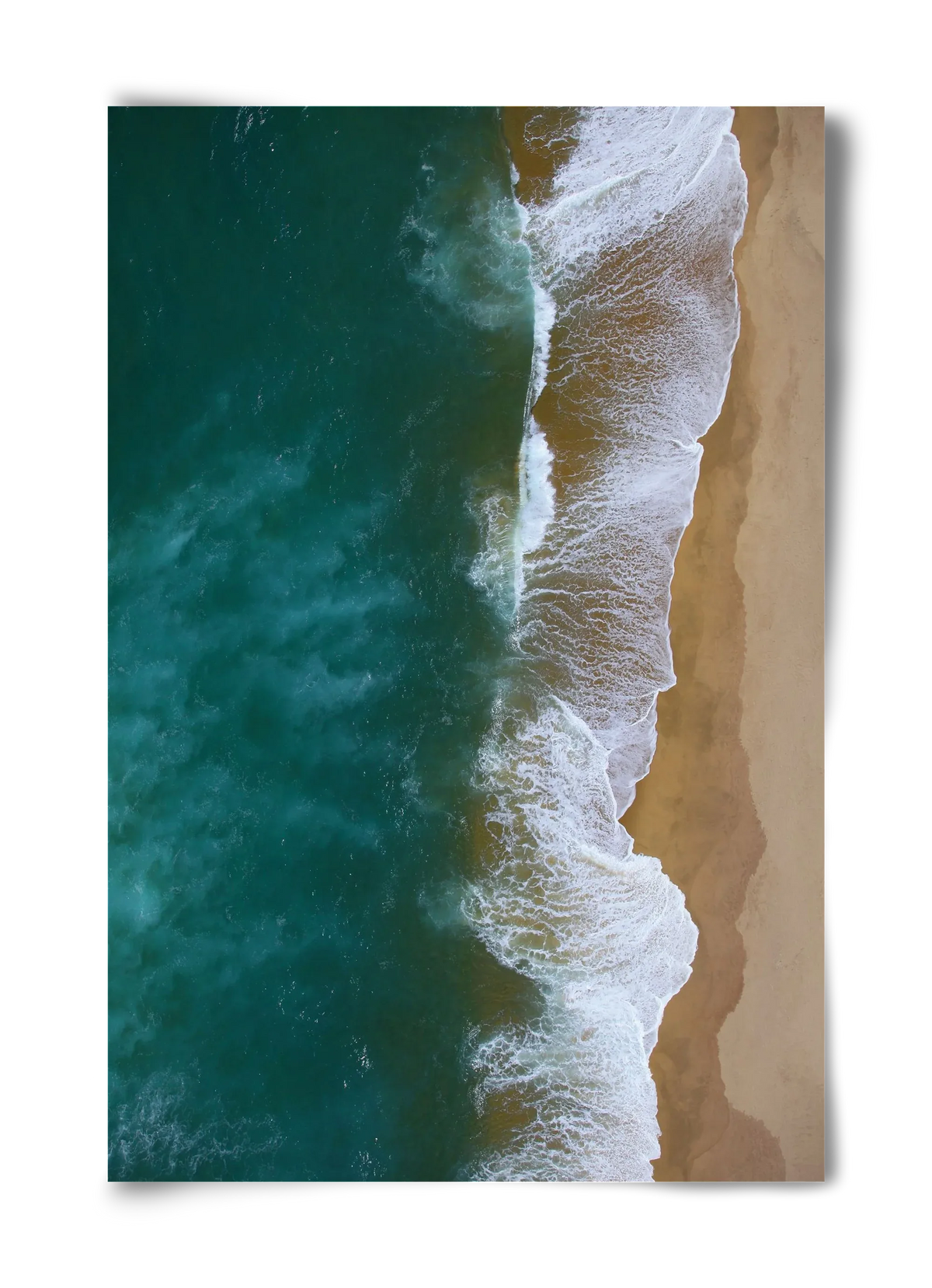 Shorelines - artbridge