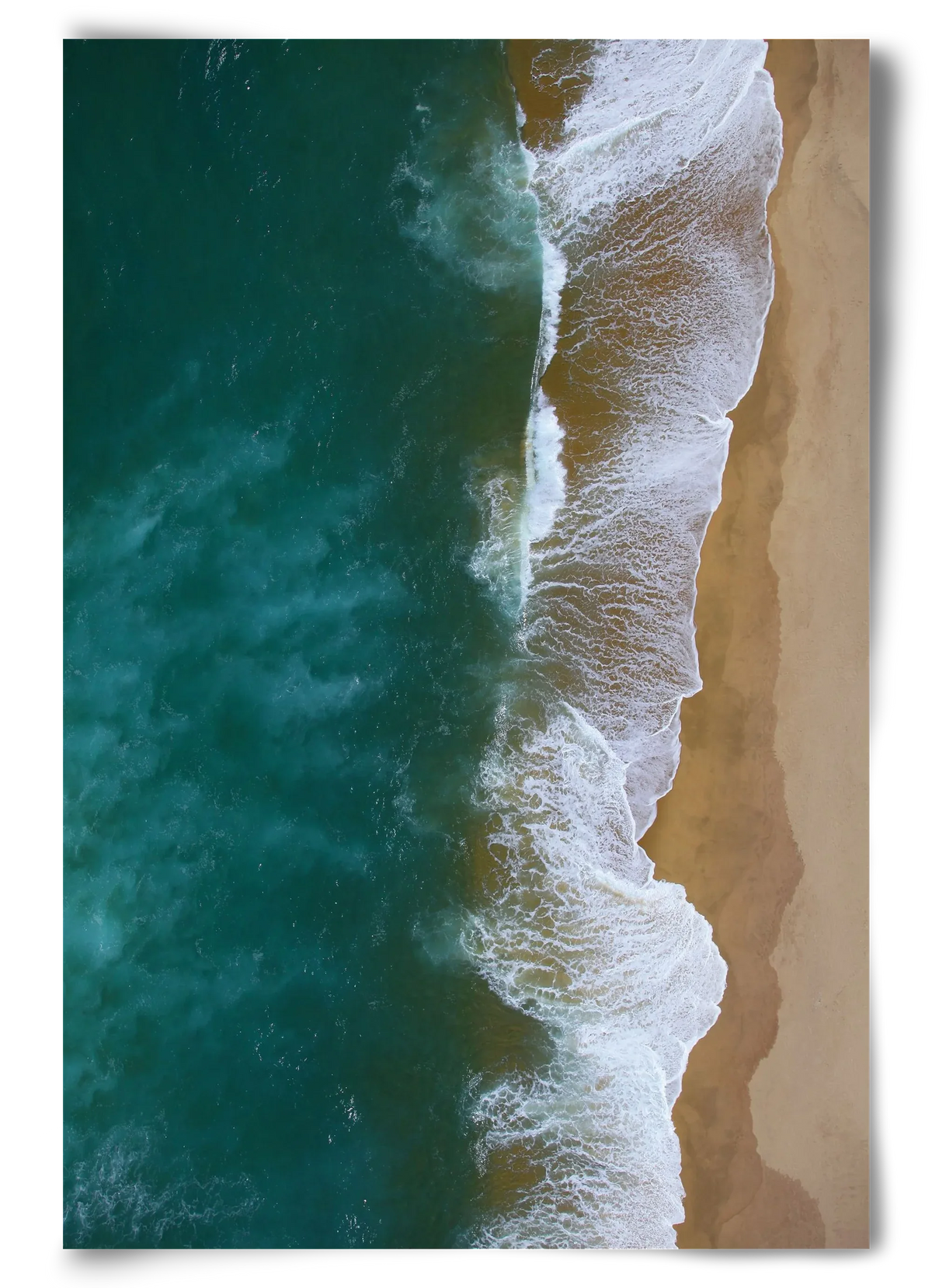 Shorelines - artbridge