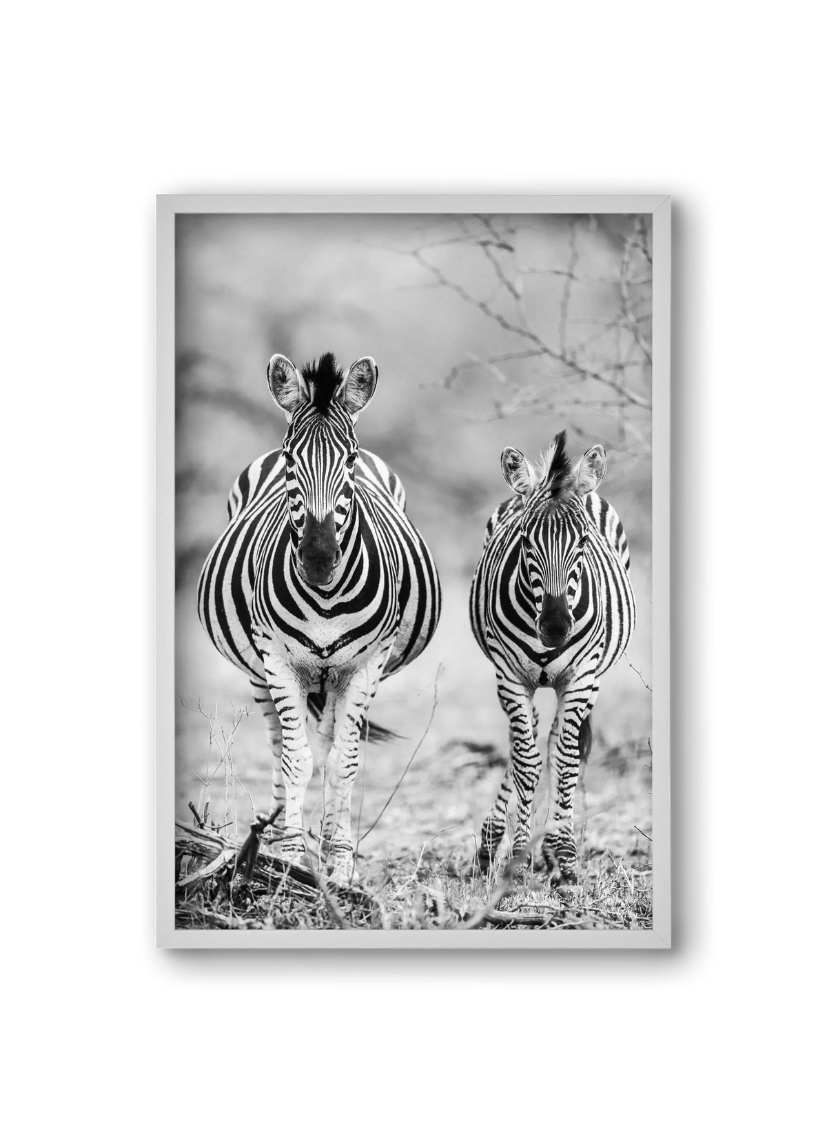 Striped horse - artbridge