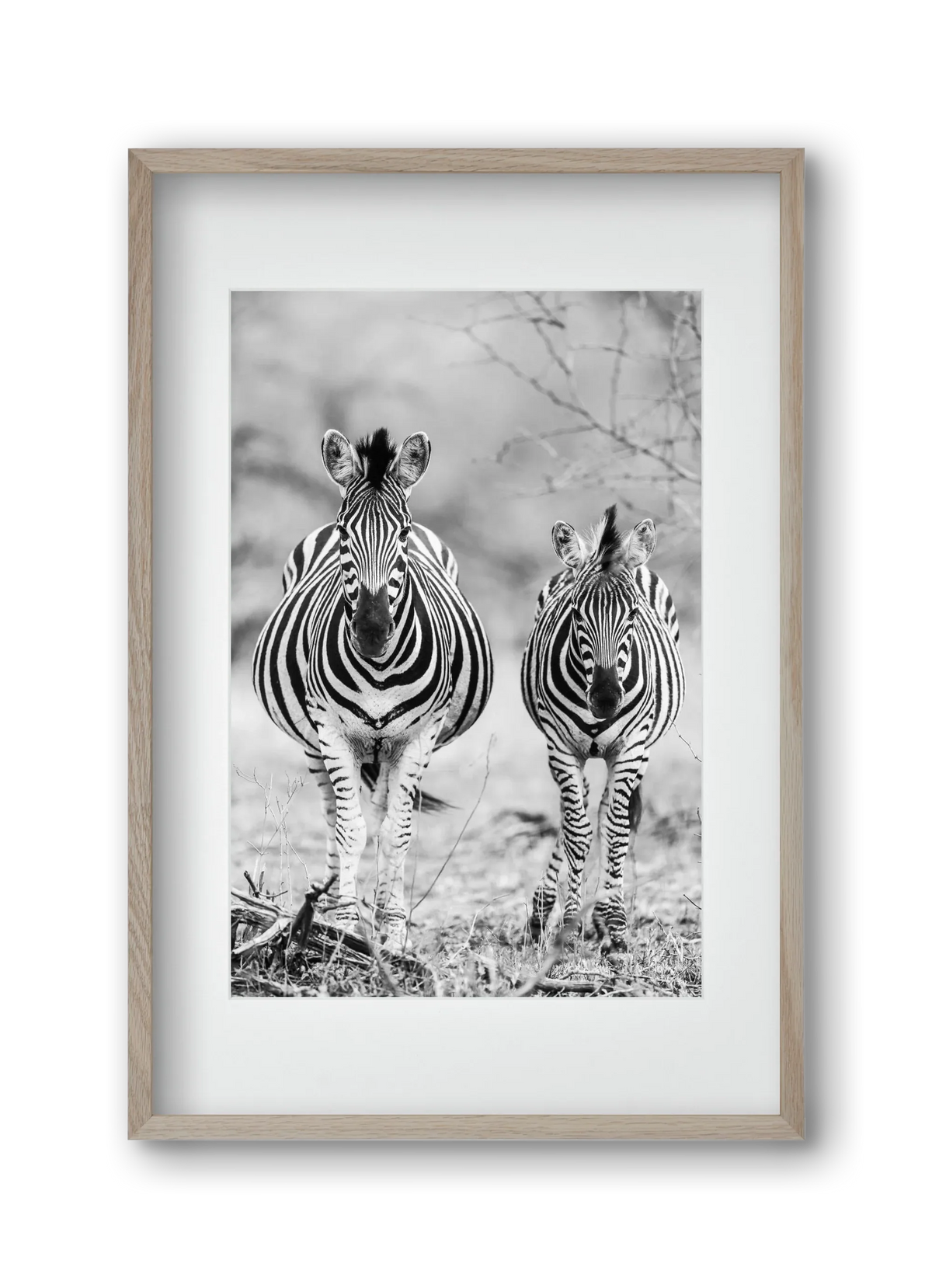 Striped horse - artbridge