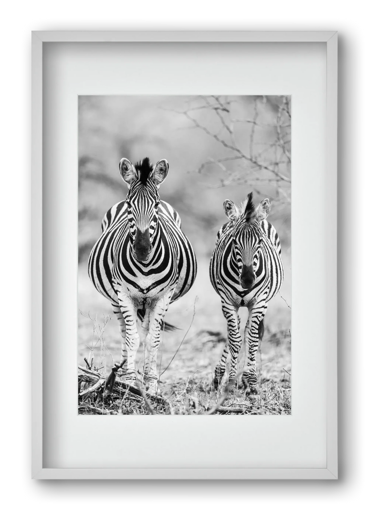 Striped horse - artbridge
