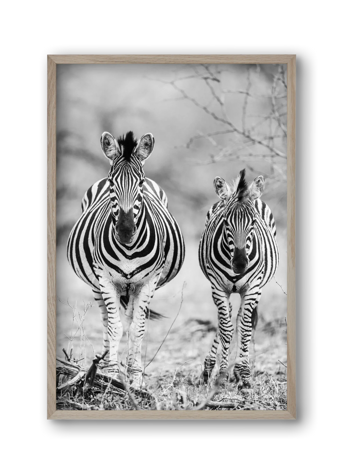 Striped horse - artbridge