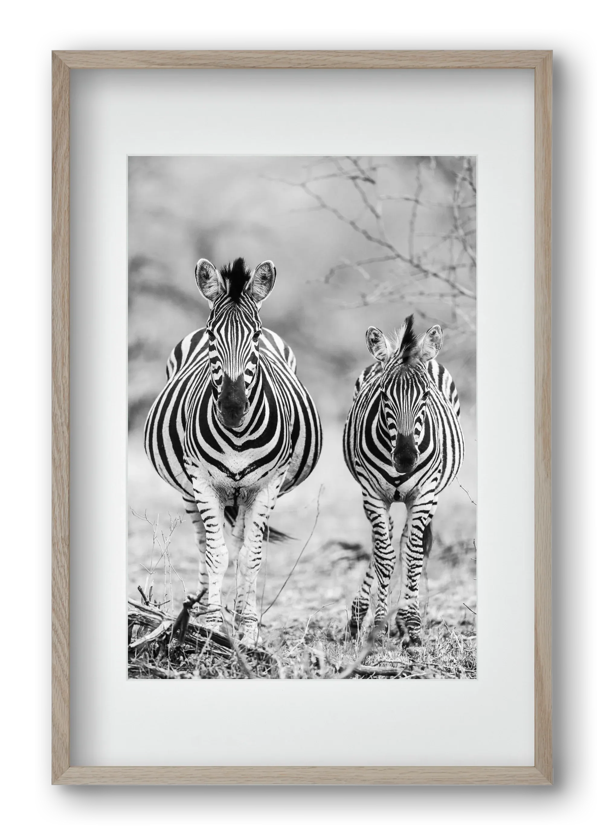 Striped horse - artbridge
