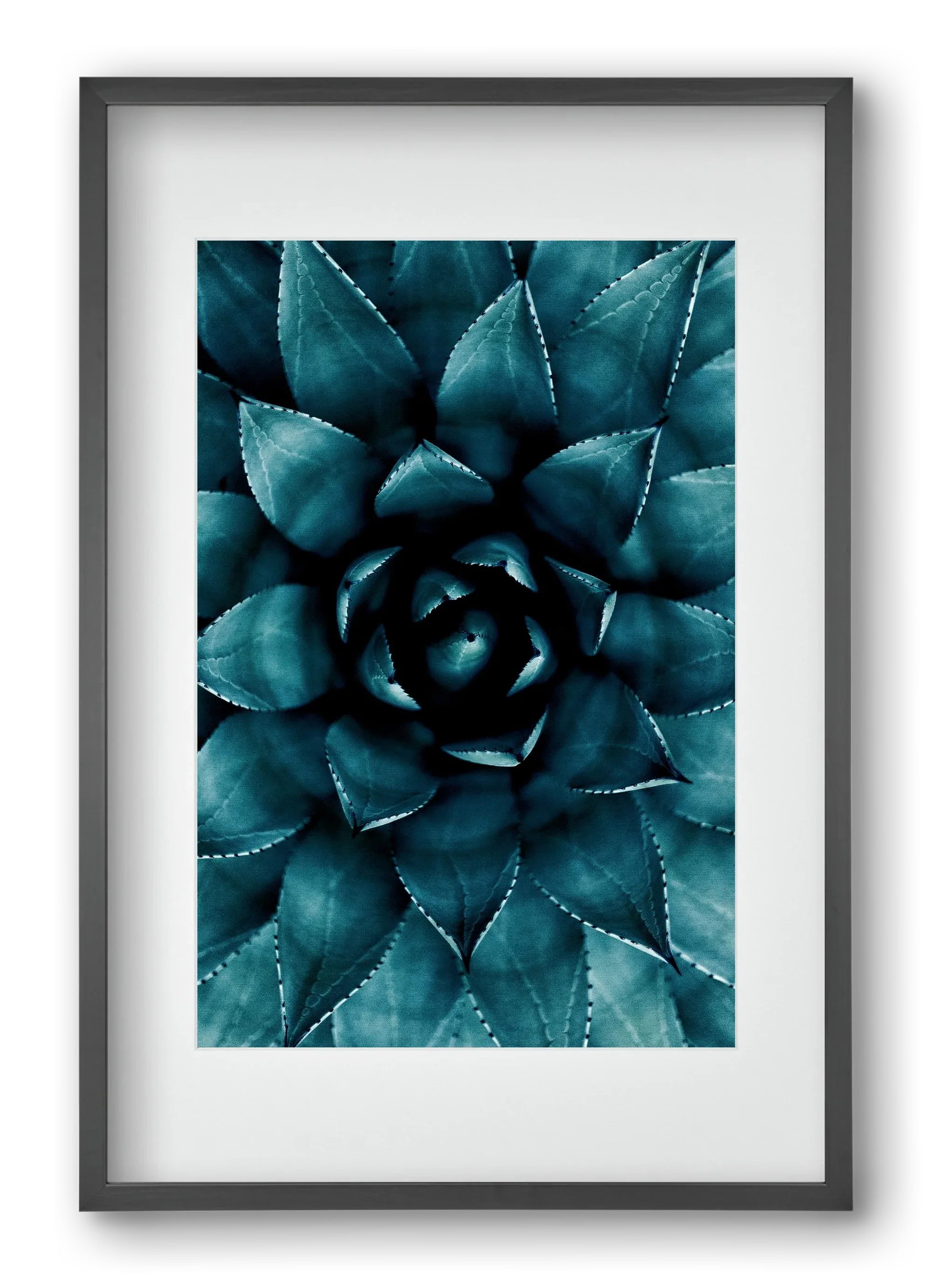 Cactus No. 9 - artbridge