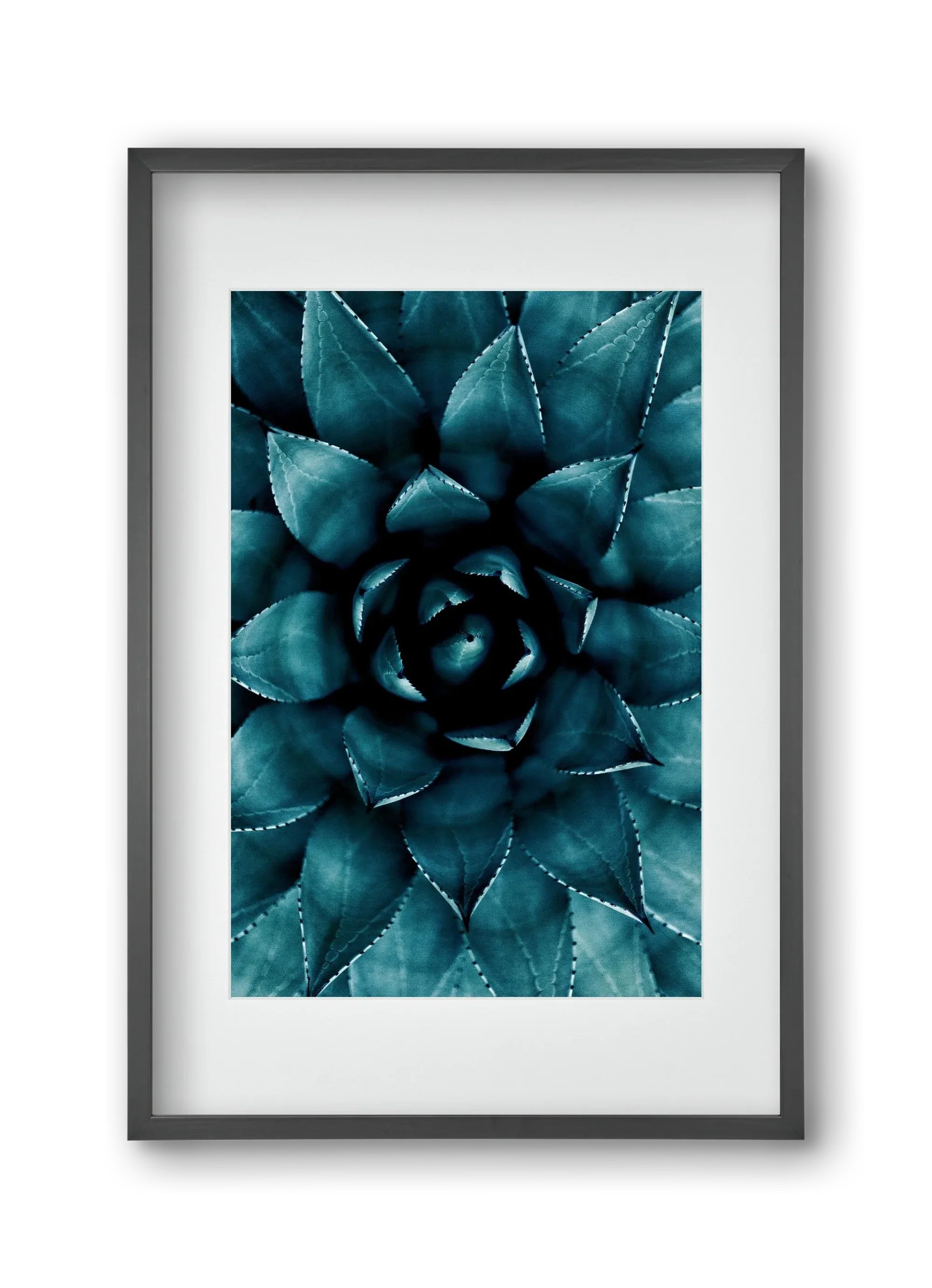 Cactus No. 9 - artbridge