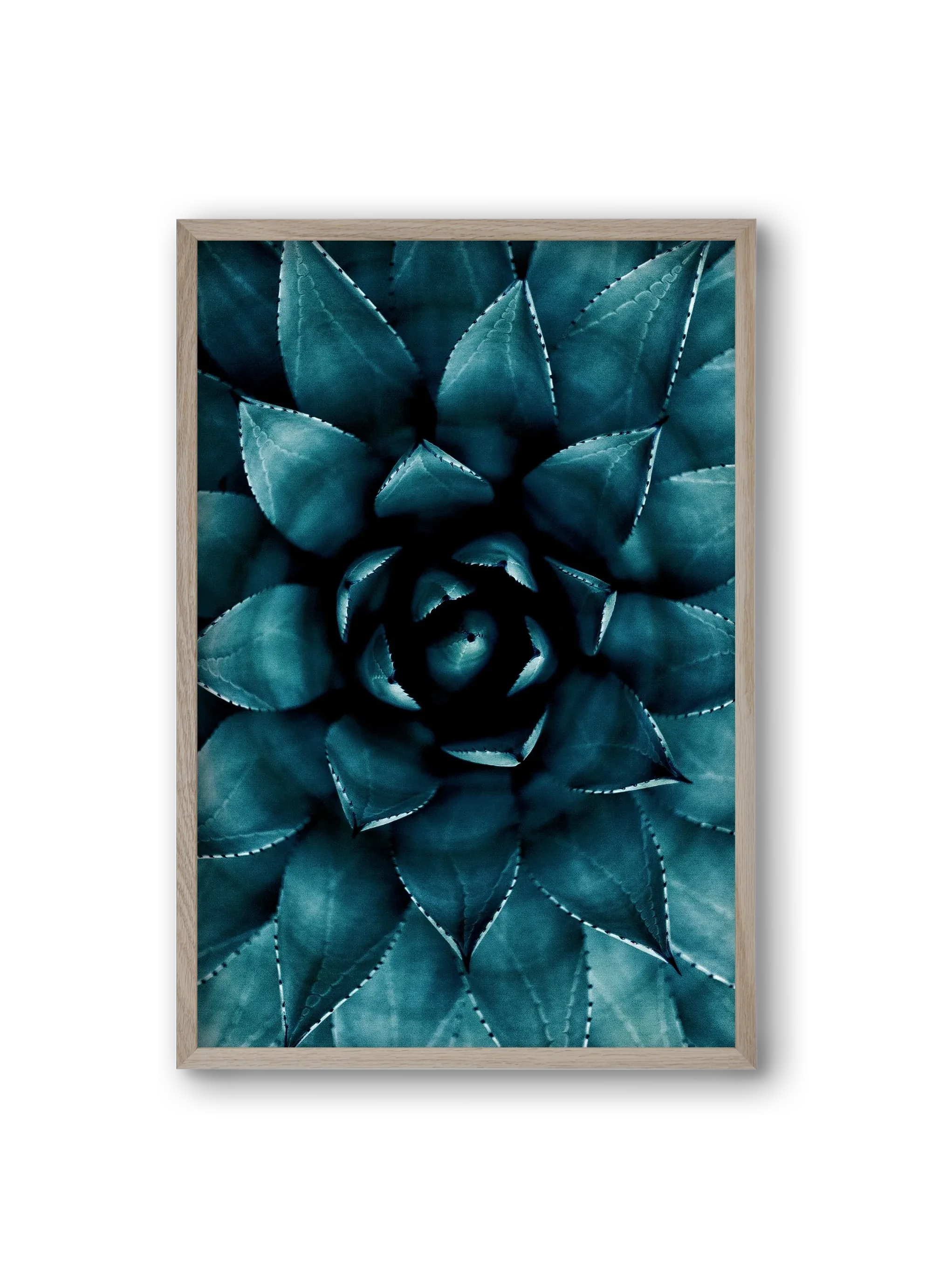 Cactus No. 9 - artbridge