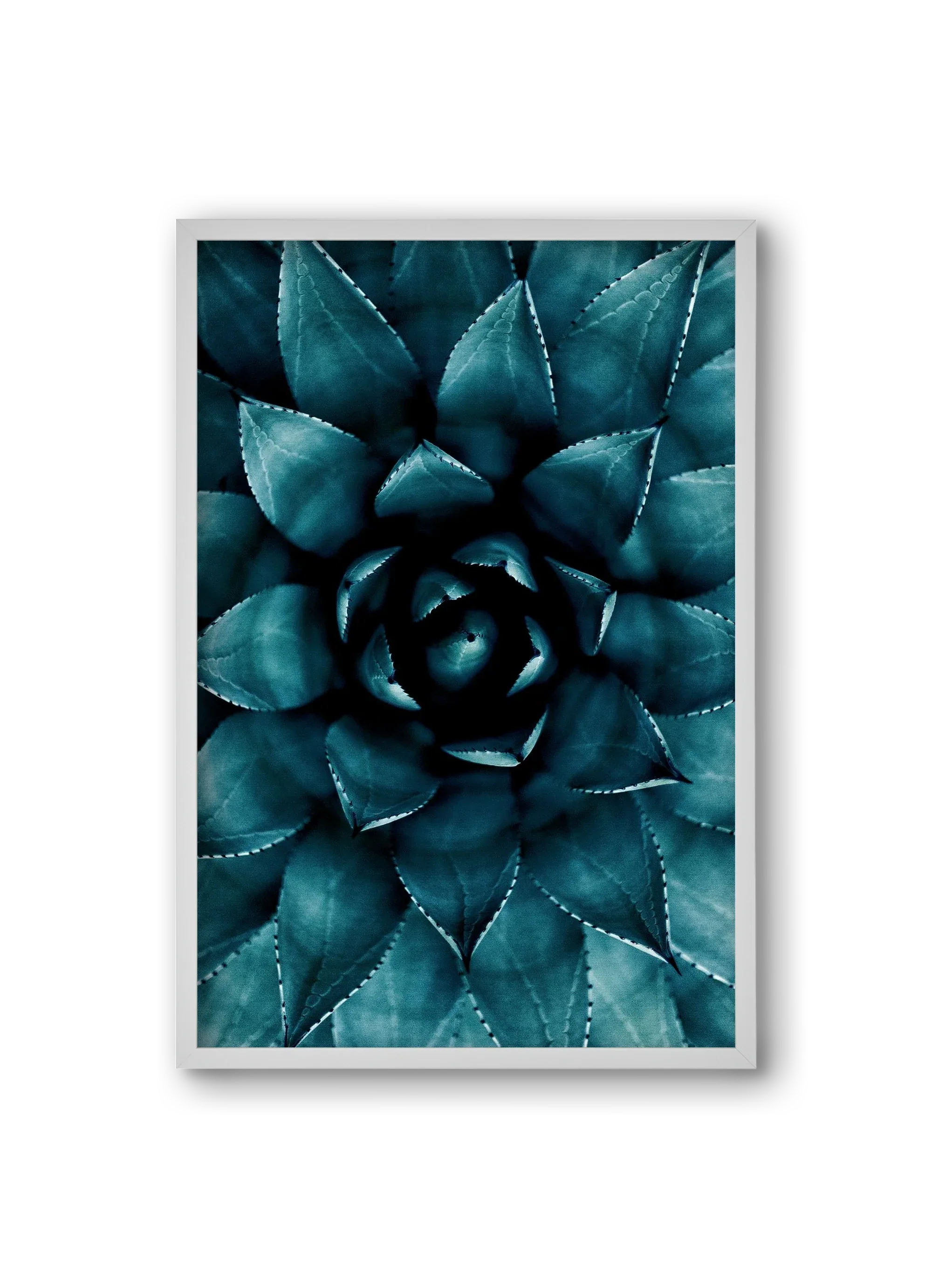 Cactus No. 9 - artbridge