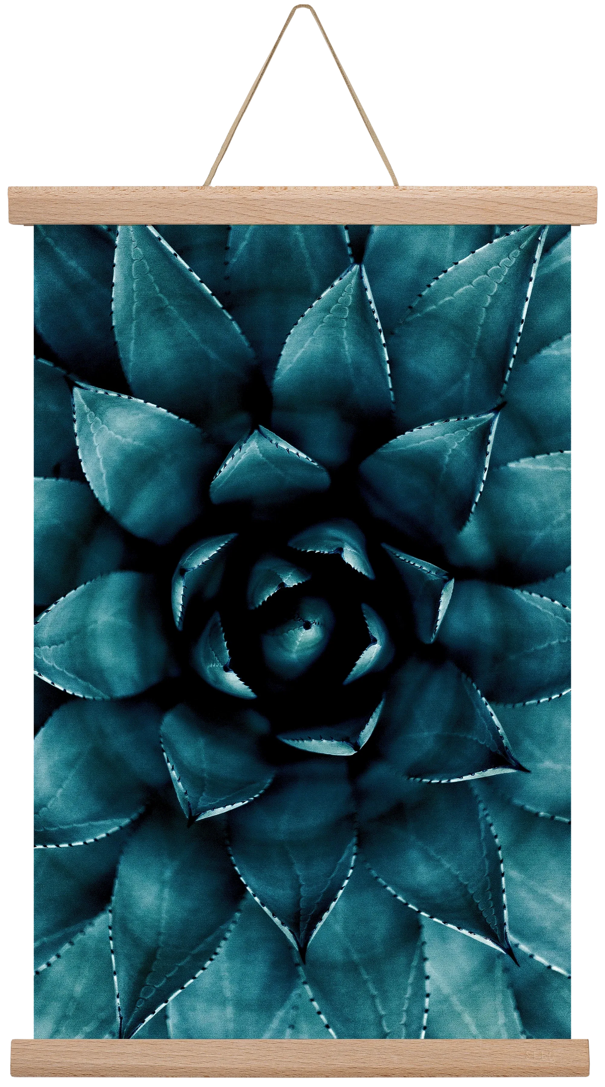 Cactus No. 9 - artbridge