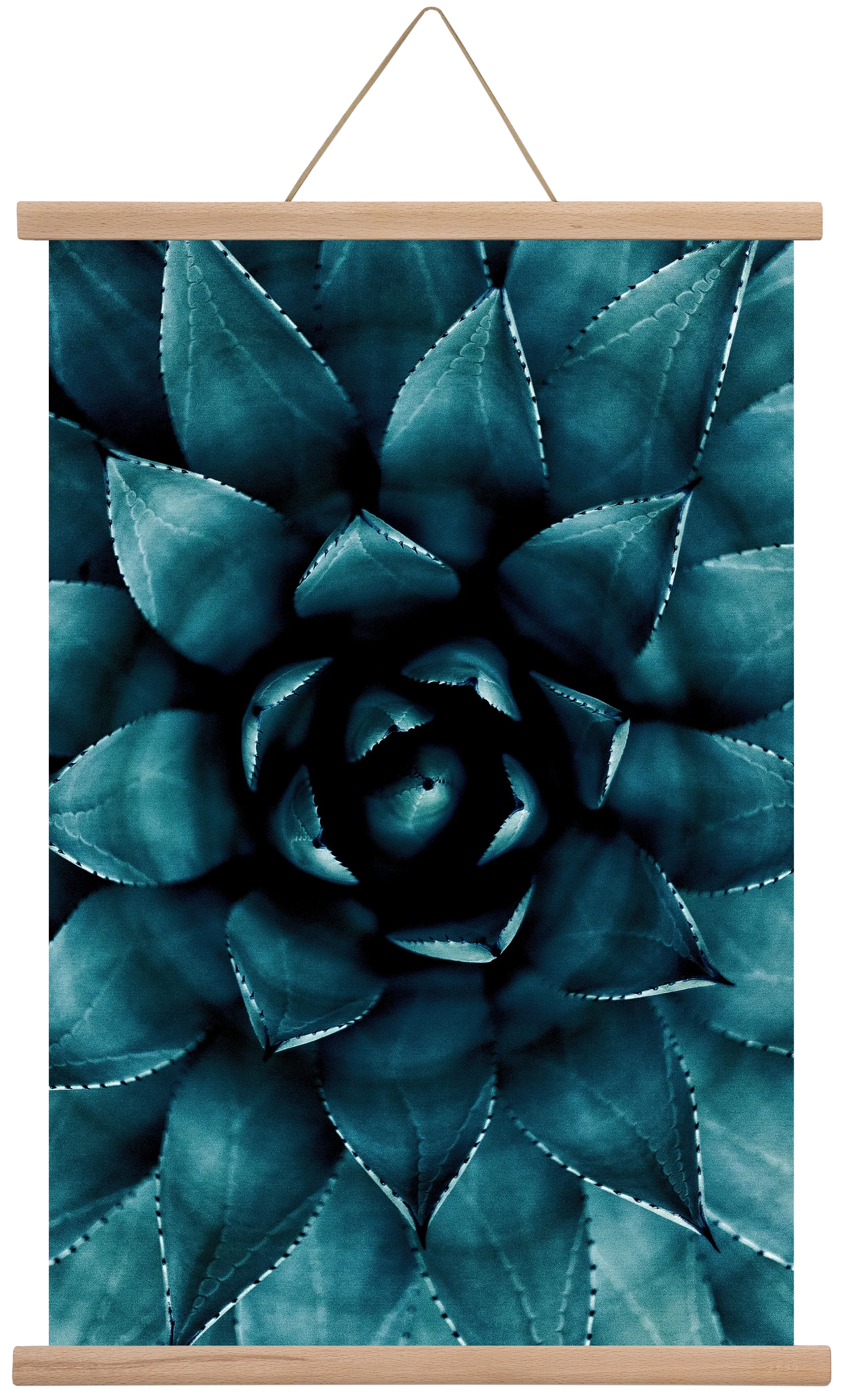 Cactus No. 9 - artbridge