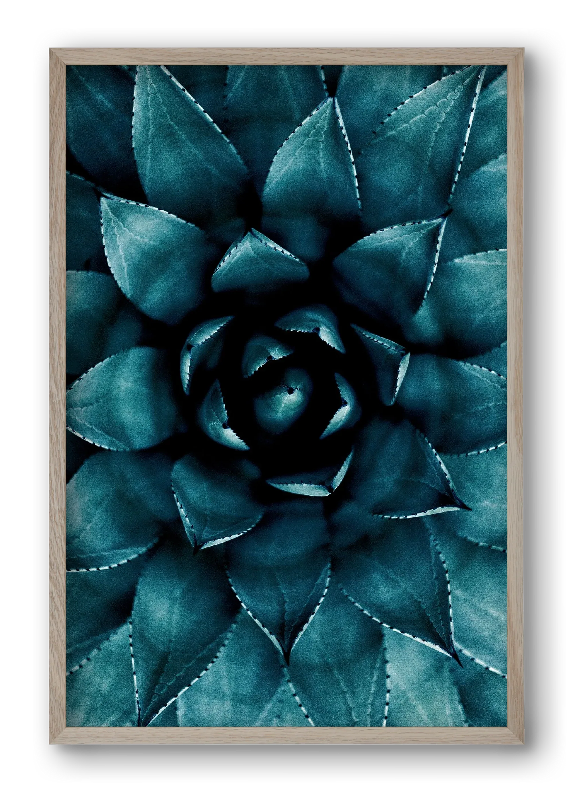 Cactus No. 9 - artbridge