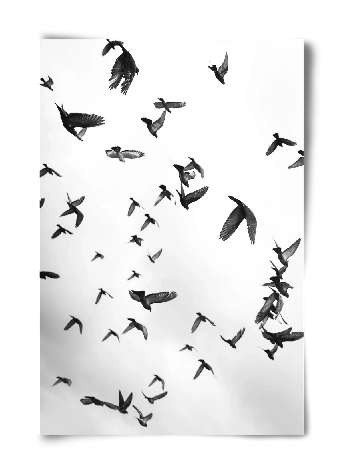 Flight & Freedom II. - artbridge