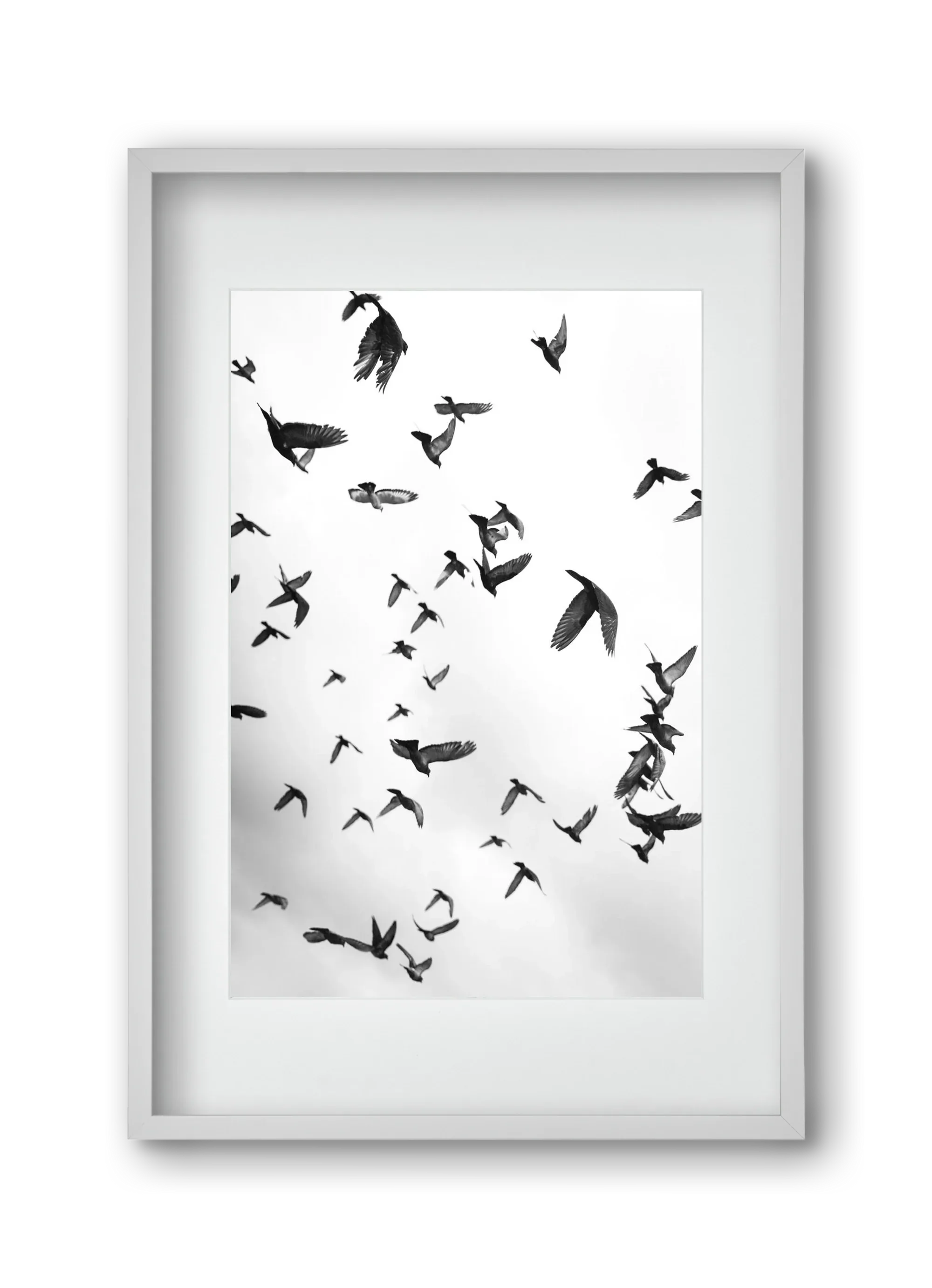 Flight & Freedom II. - artbridge