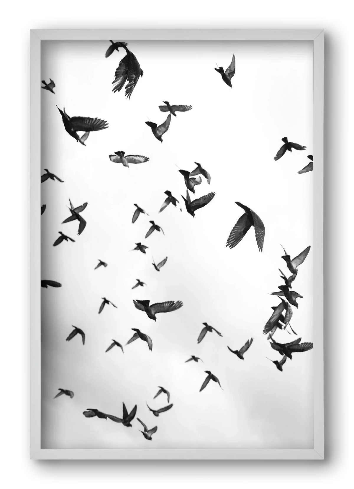 Flight & Freedom II. - artbridge