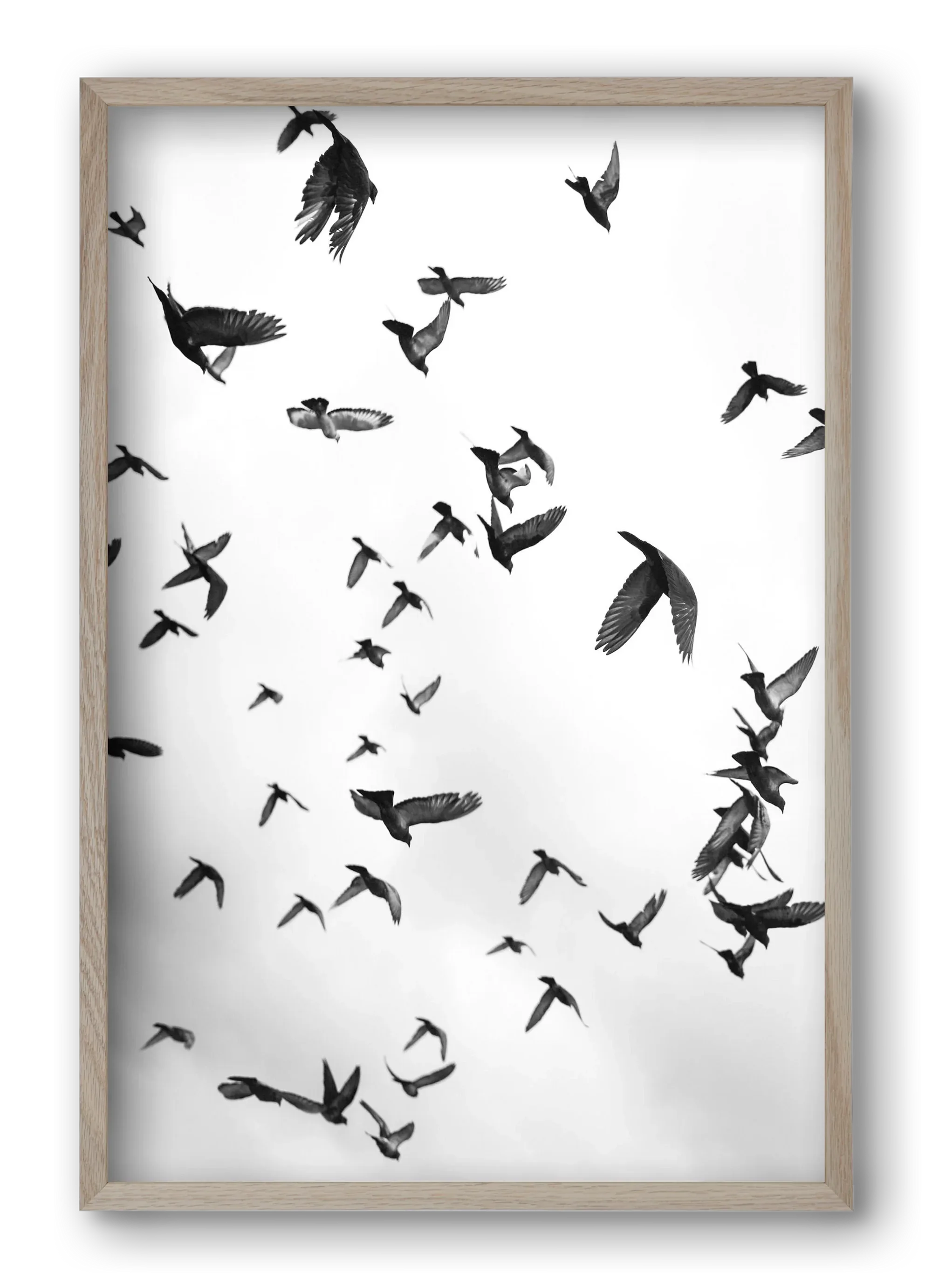 Flight & Freedom II. - artbridge