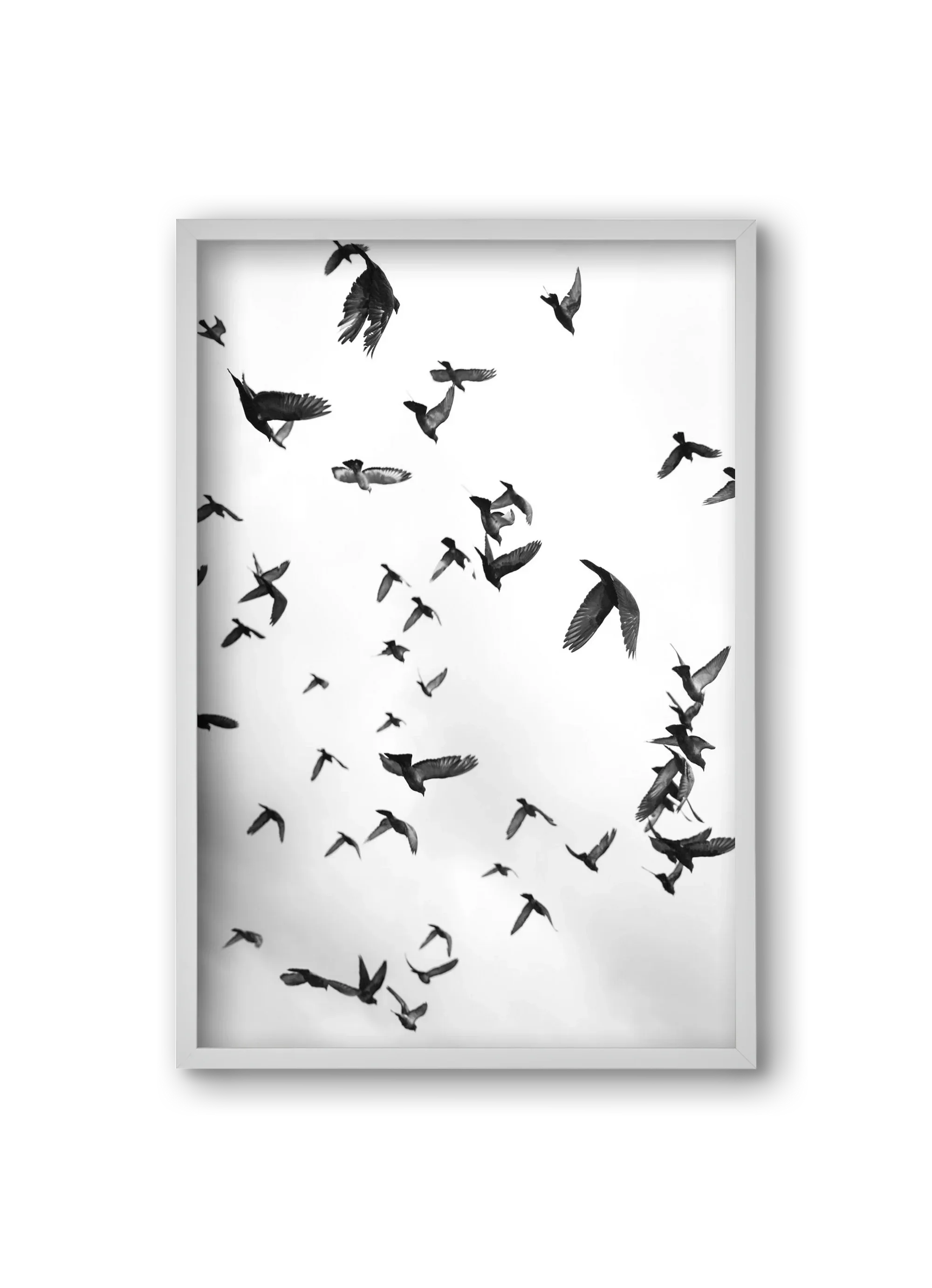 Flight & Freedom II. - artbridge