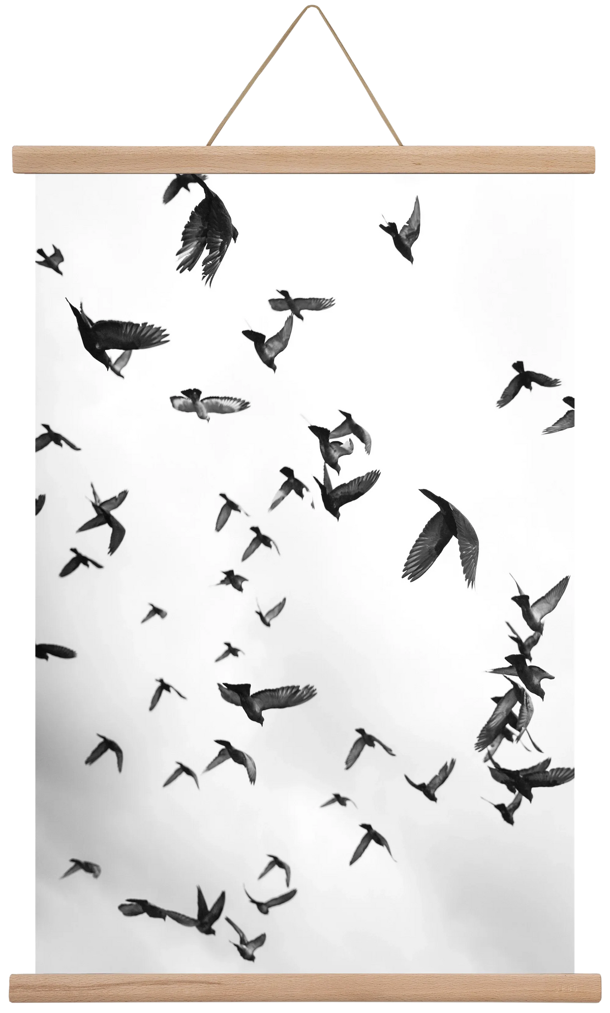 Flight & Freedom II. - artbridge