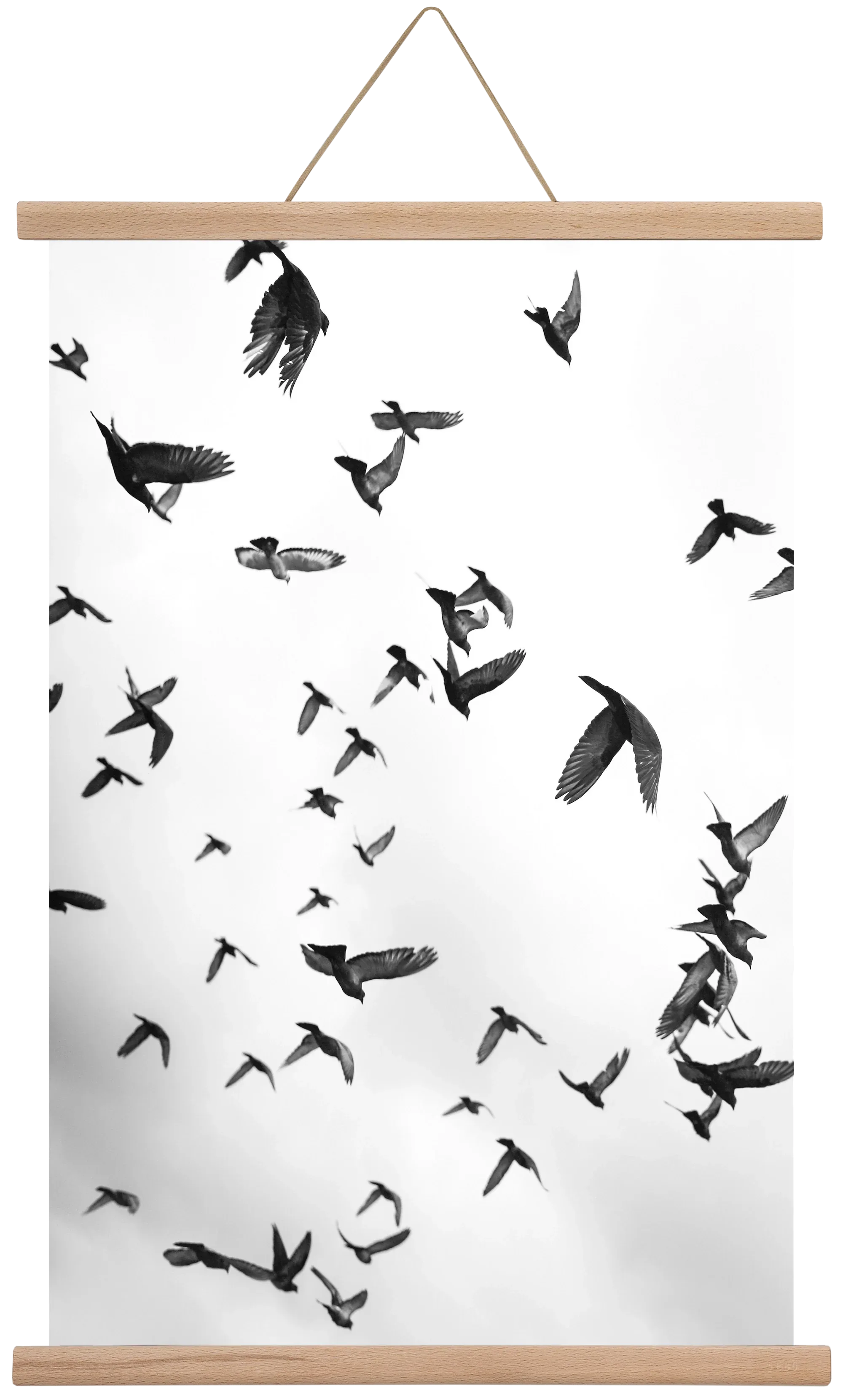 Flight & Freedom II. - artbridge