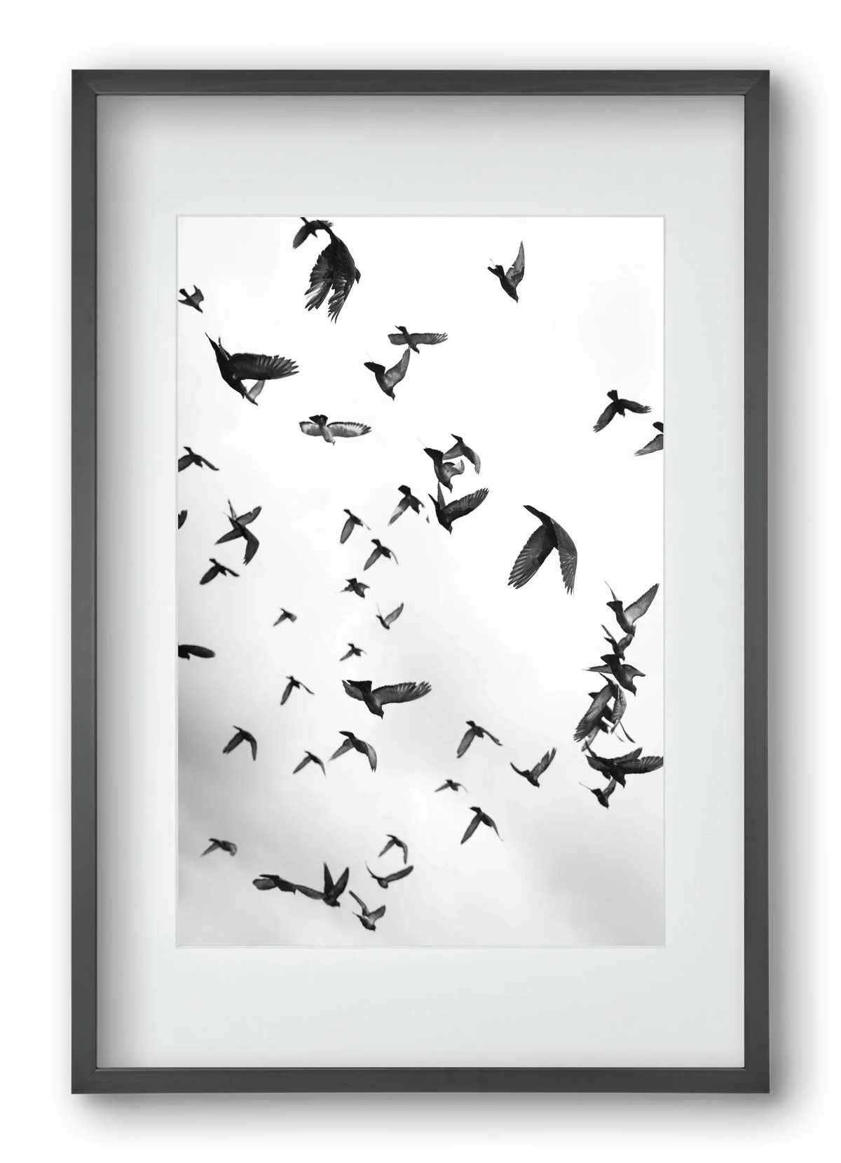 Flight & Freedom II. - artbridge