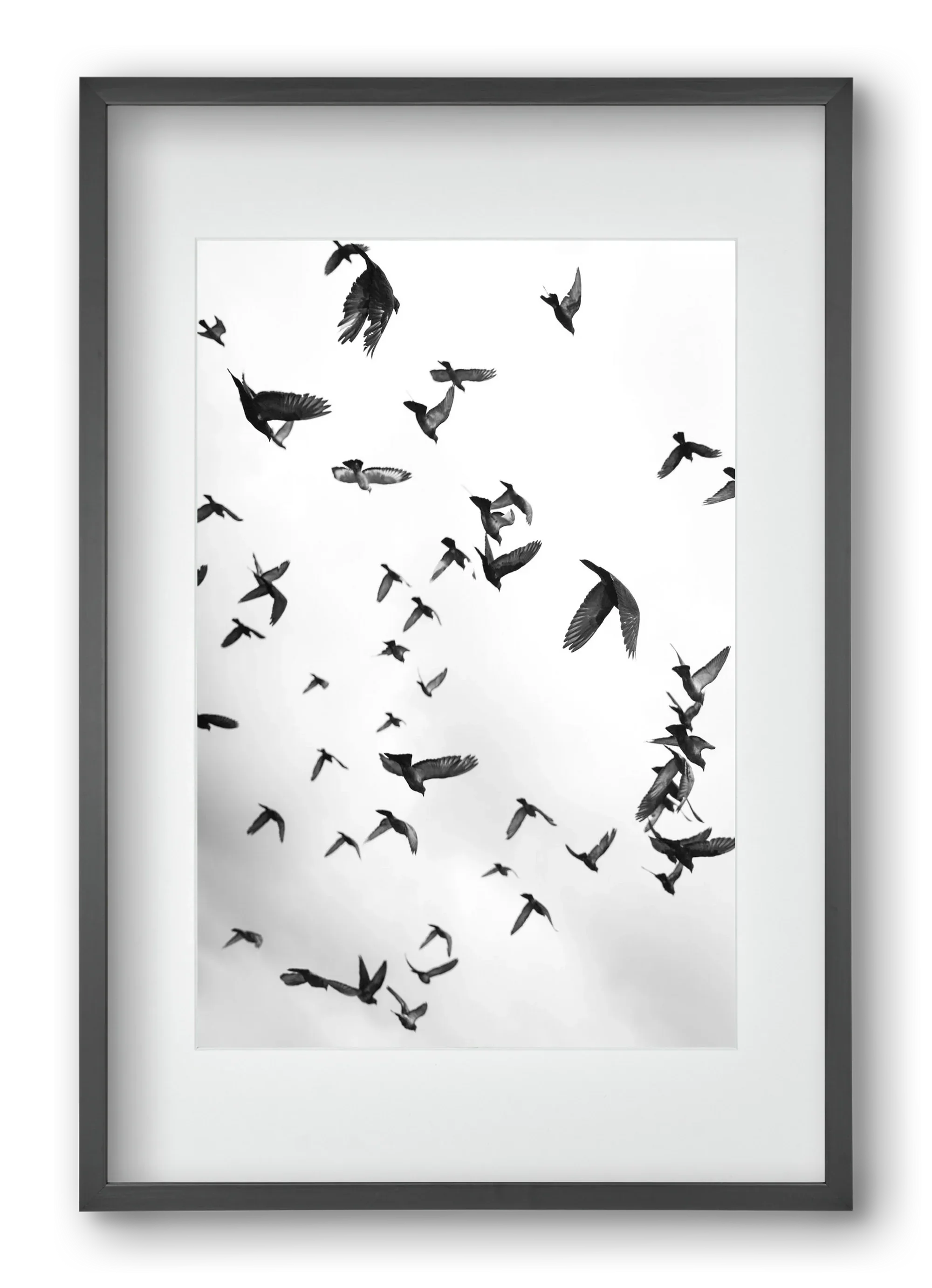 Flight & Freedom II. - artbridge