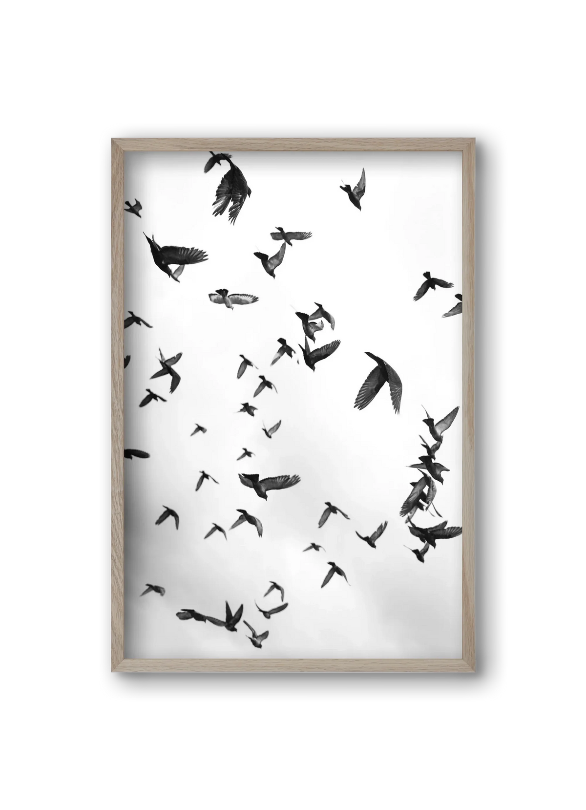 Flight & Freedom II. - artbridge