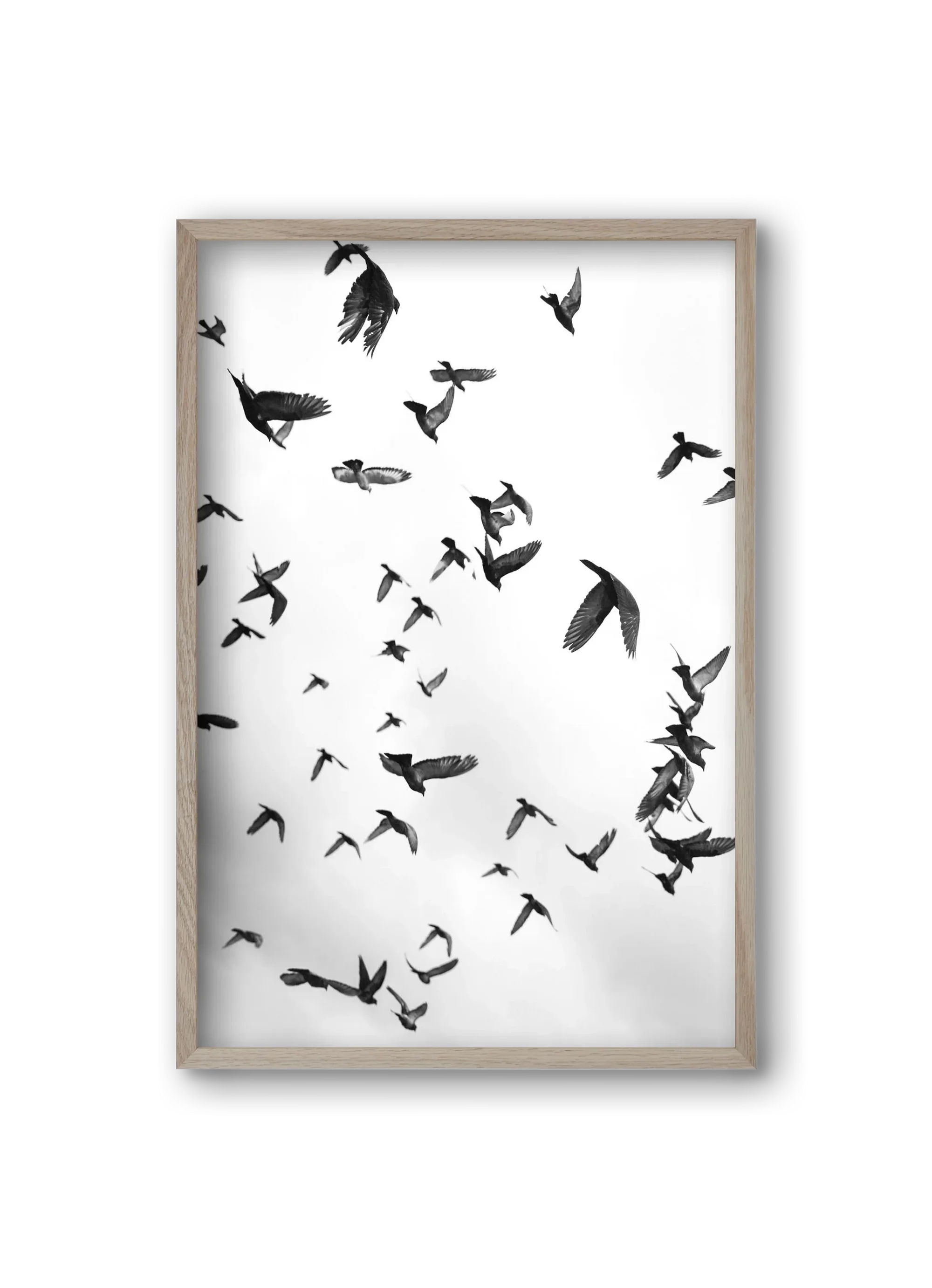 Flight & Freedom II. - artbridge