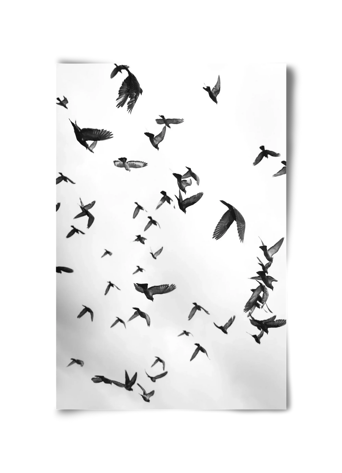 Flight & Freedom II. - artbridge