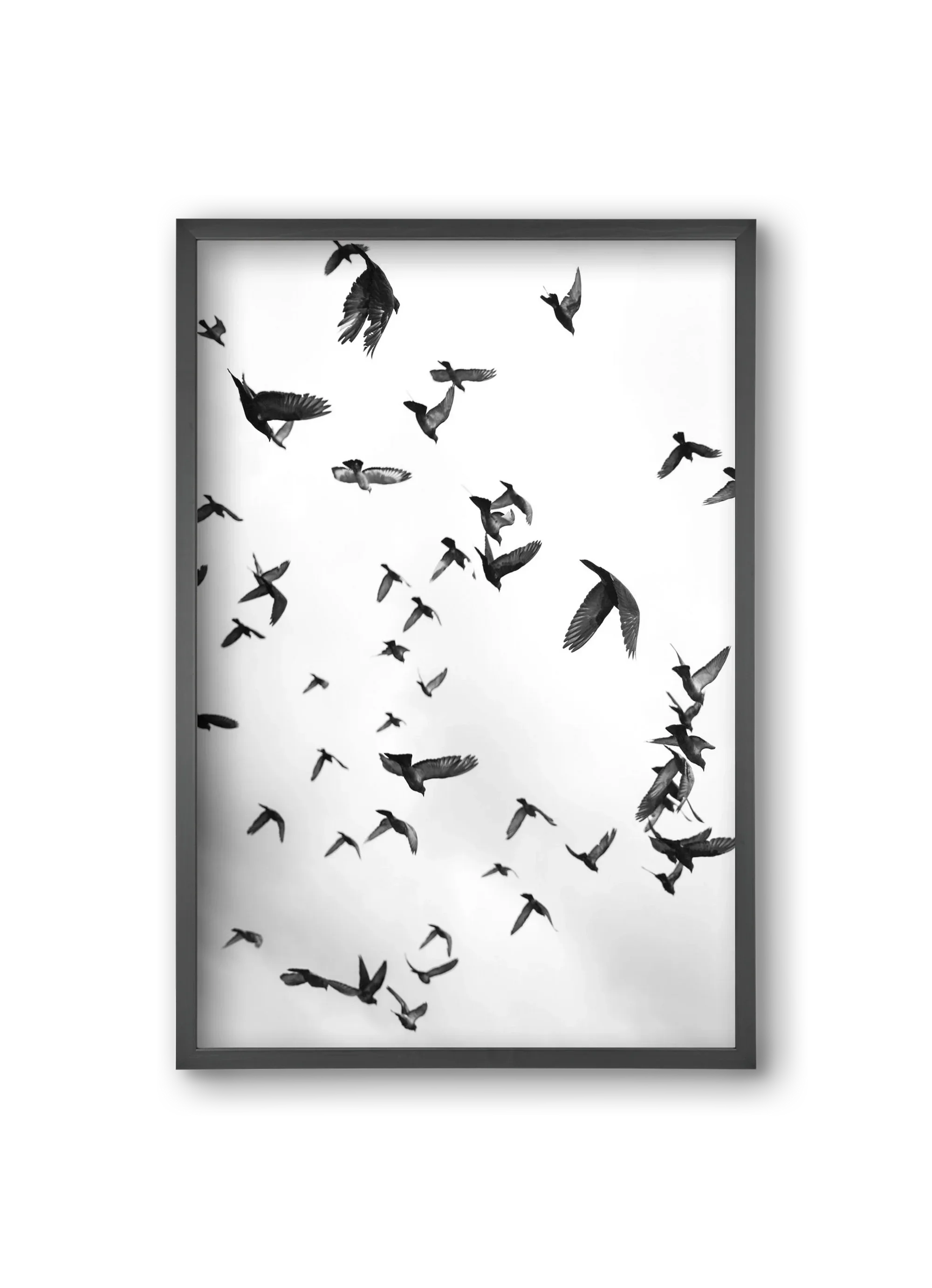 Flight & Freedom II. - artbridge