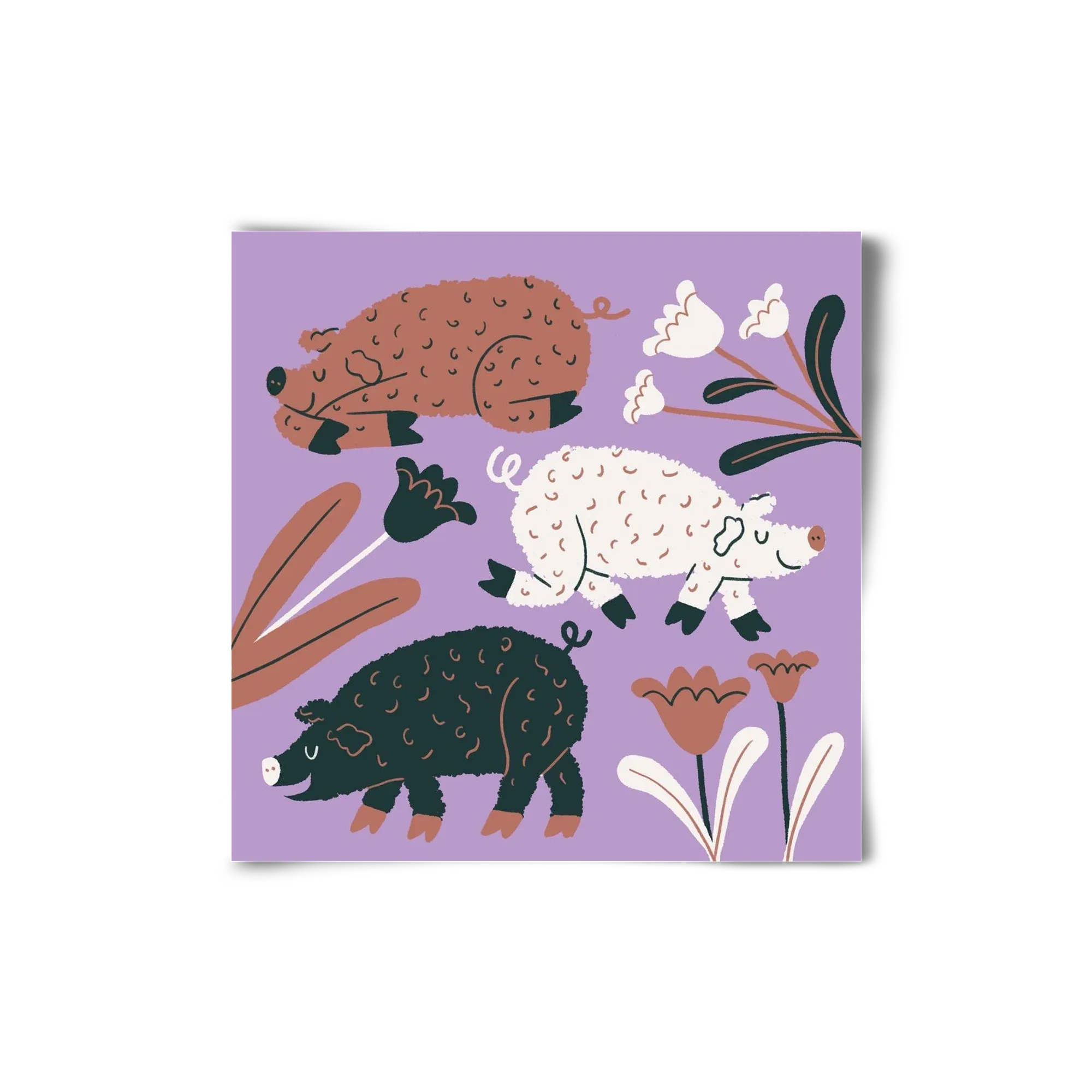 Mangalicák - artbridge