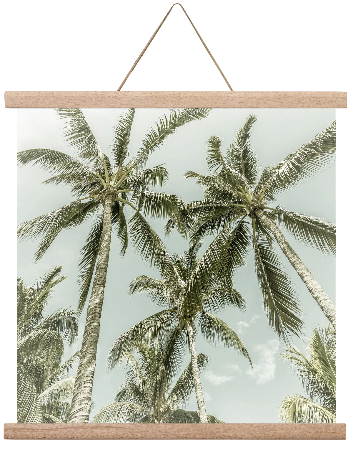 Lovely Palm Trees | Vintage - artbridge